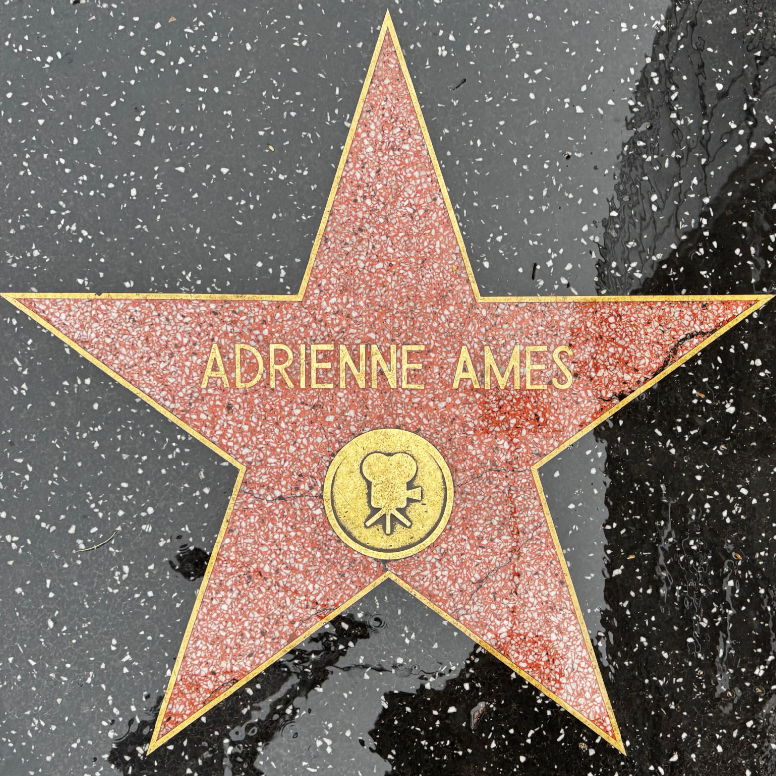 Adrienne Ames's Motion Pictures Star Adrienne Ames's Motion Pictures Star
