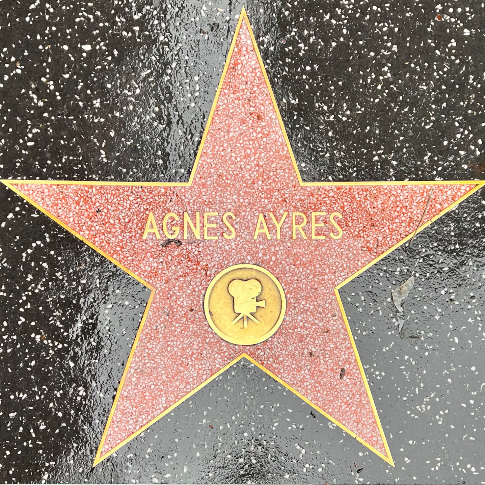 Agnes Ayres's Motion Pictures Star