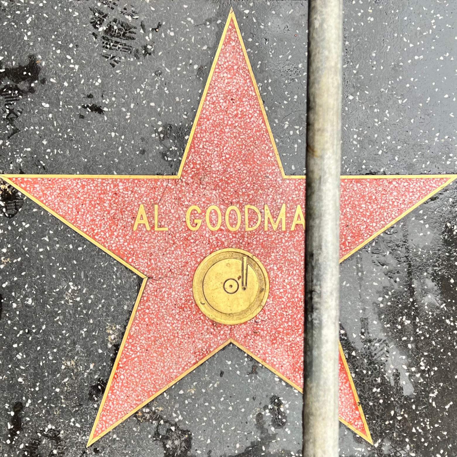Al Goodman's Recording Star