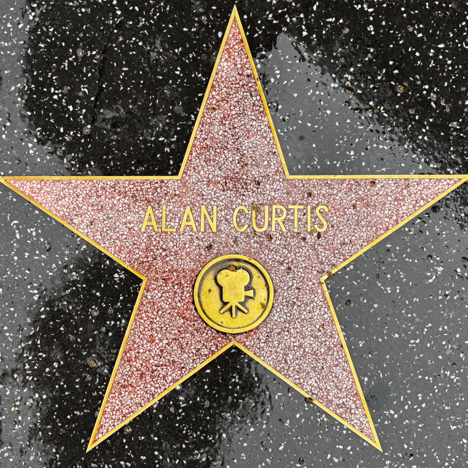 Alan Curtis's Motion Pictures Star Alan Curtis's Motion Pictures Star