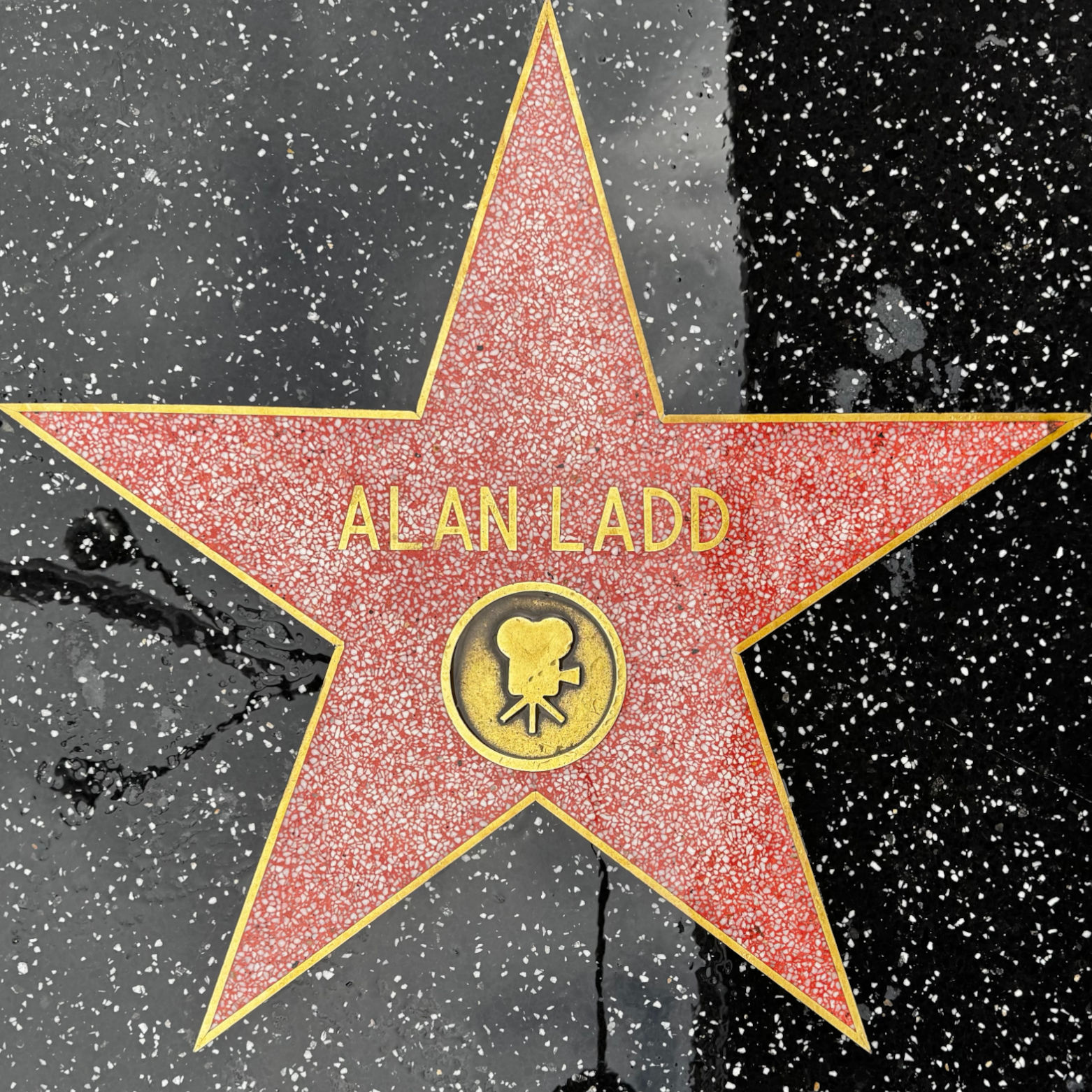 Alan Ladd's Motion Pictures Star Alan Ladd's Motion Pictures Star