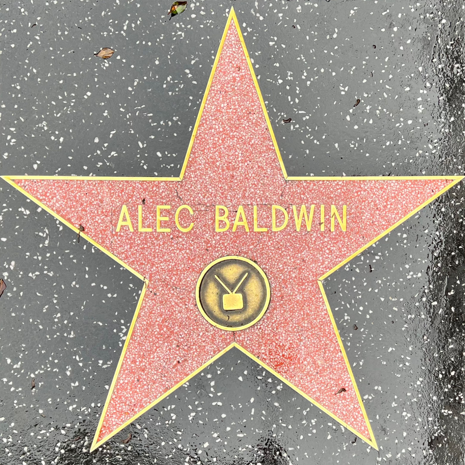 Alec Baldwin's Television Star