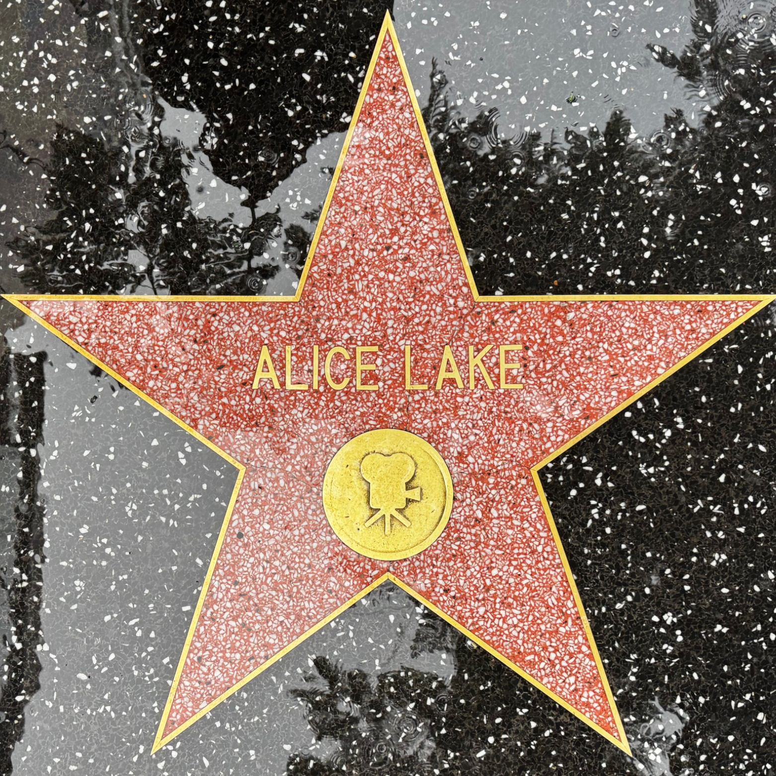 Alice Lake's Motion Pictures Star Alice Lake's Motion Pictures Star