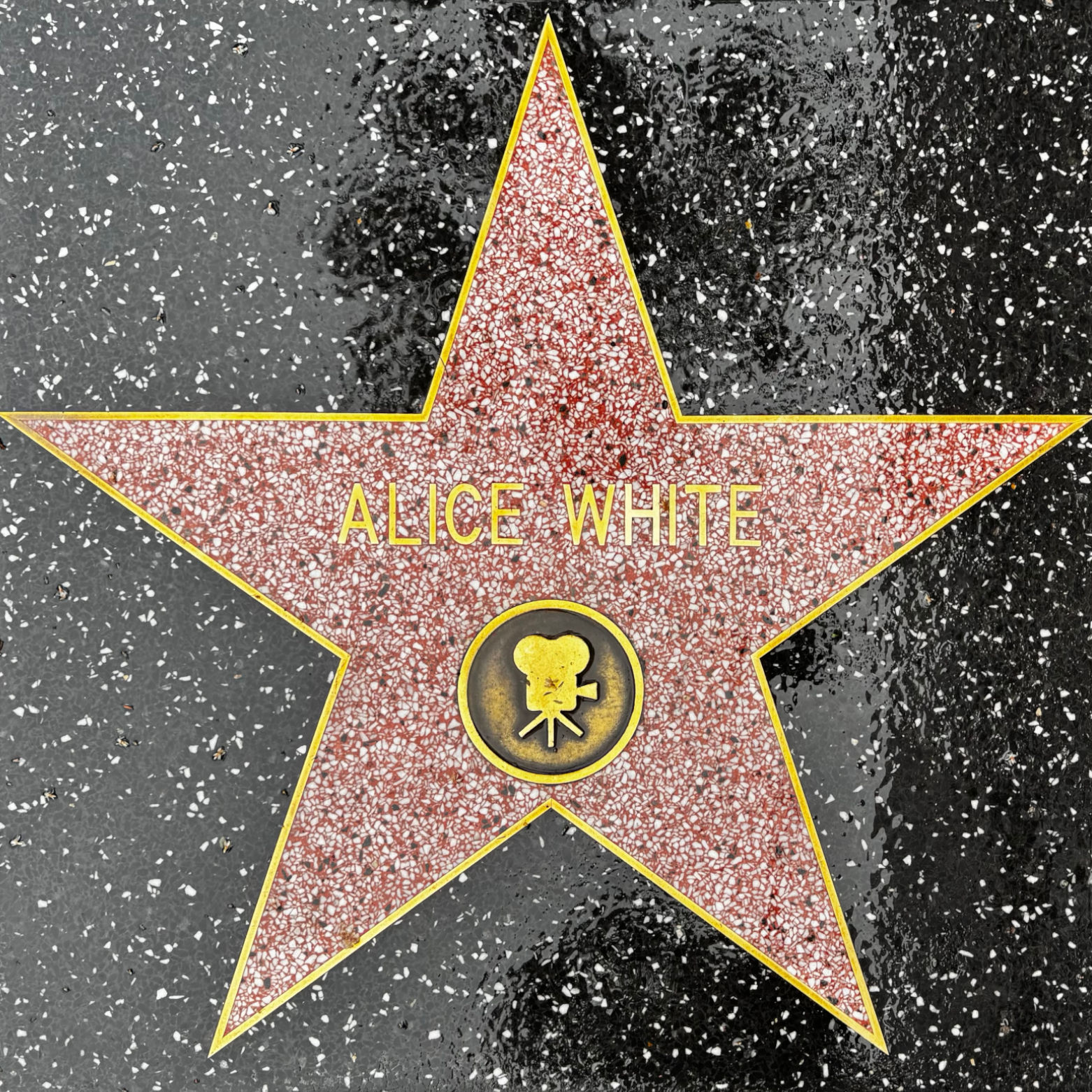 Alice White's Motion Pictures Star Alice White's Motion Pictures Star