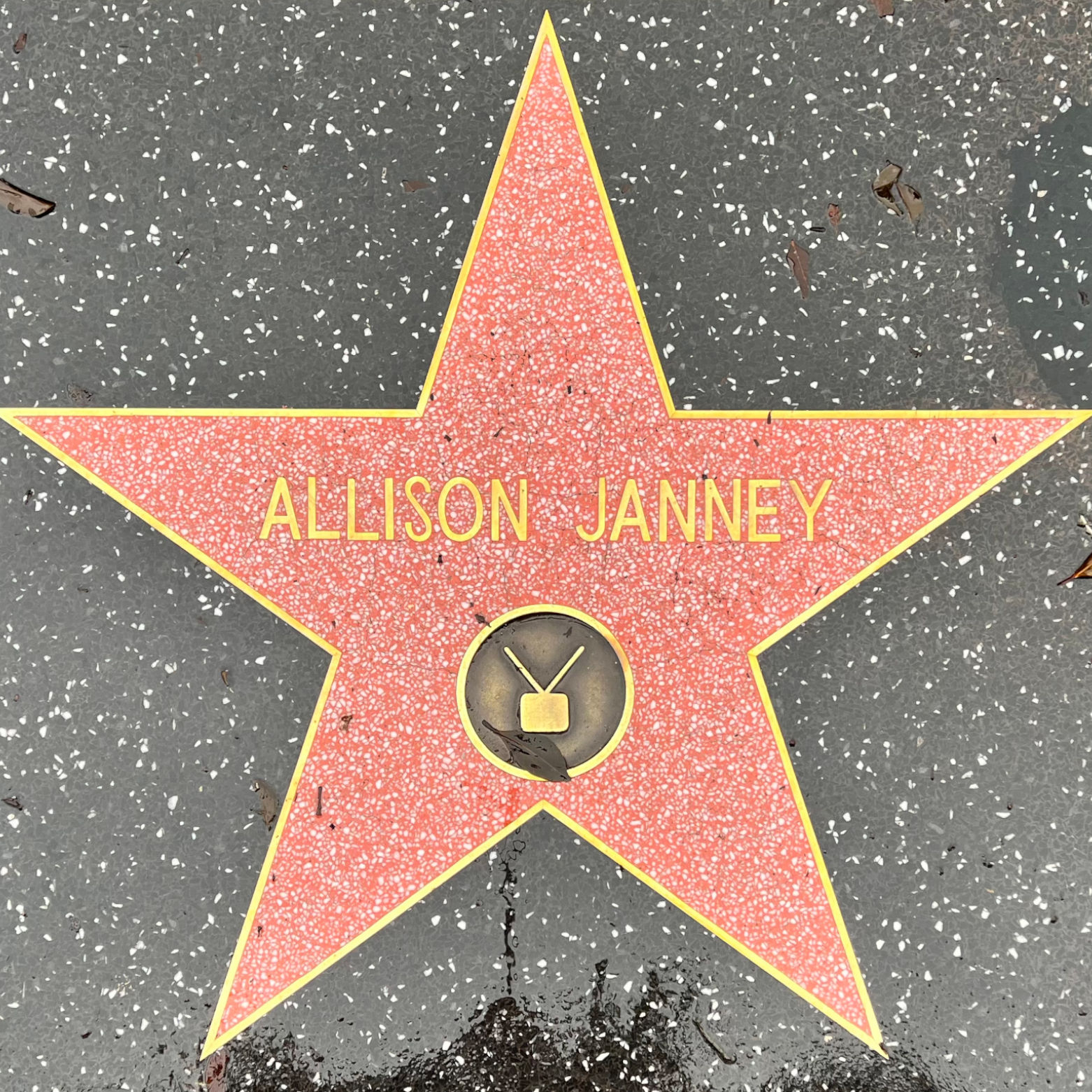 Allison Janney's Television Star