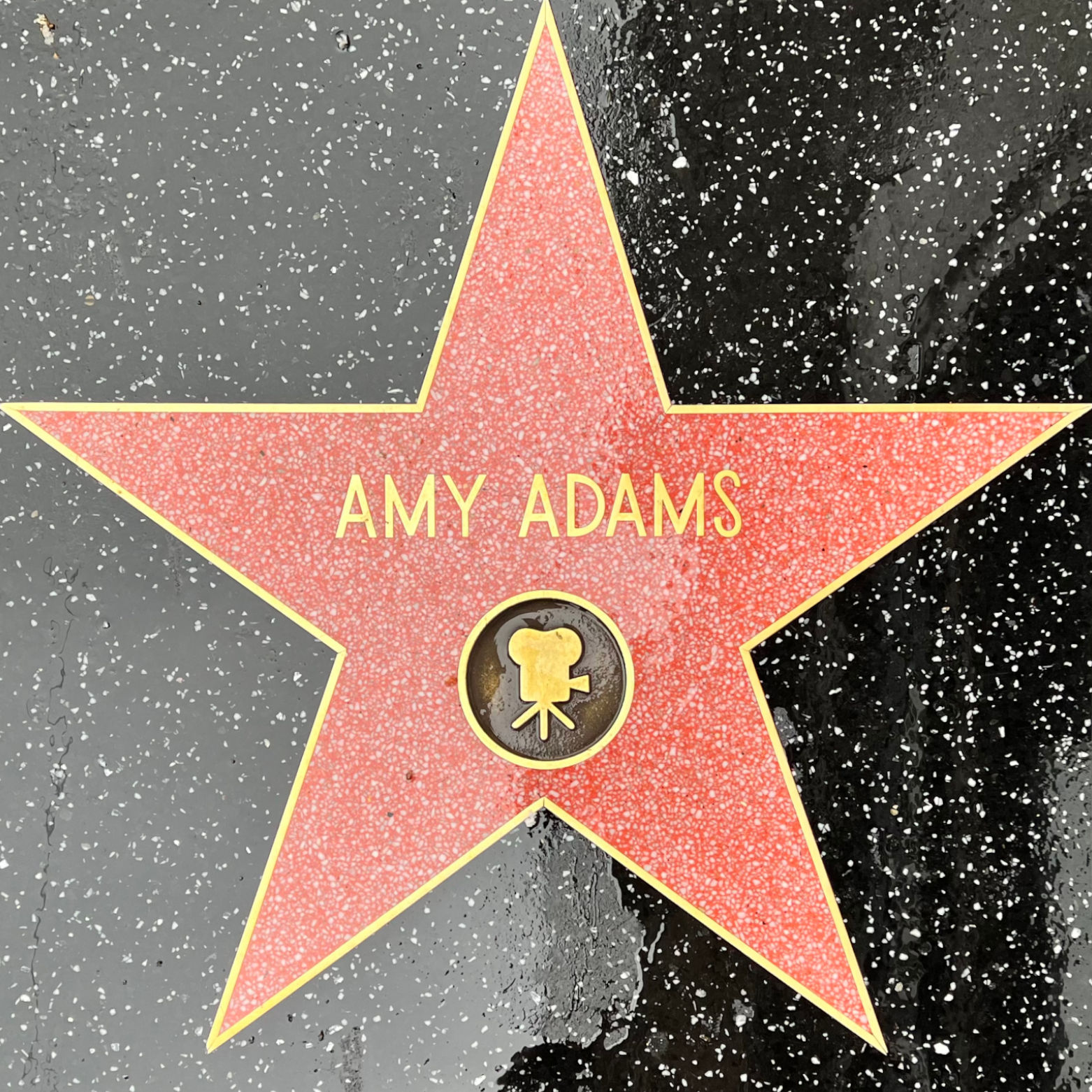 Amy Adams's Motion Pictures Star