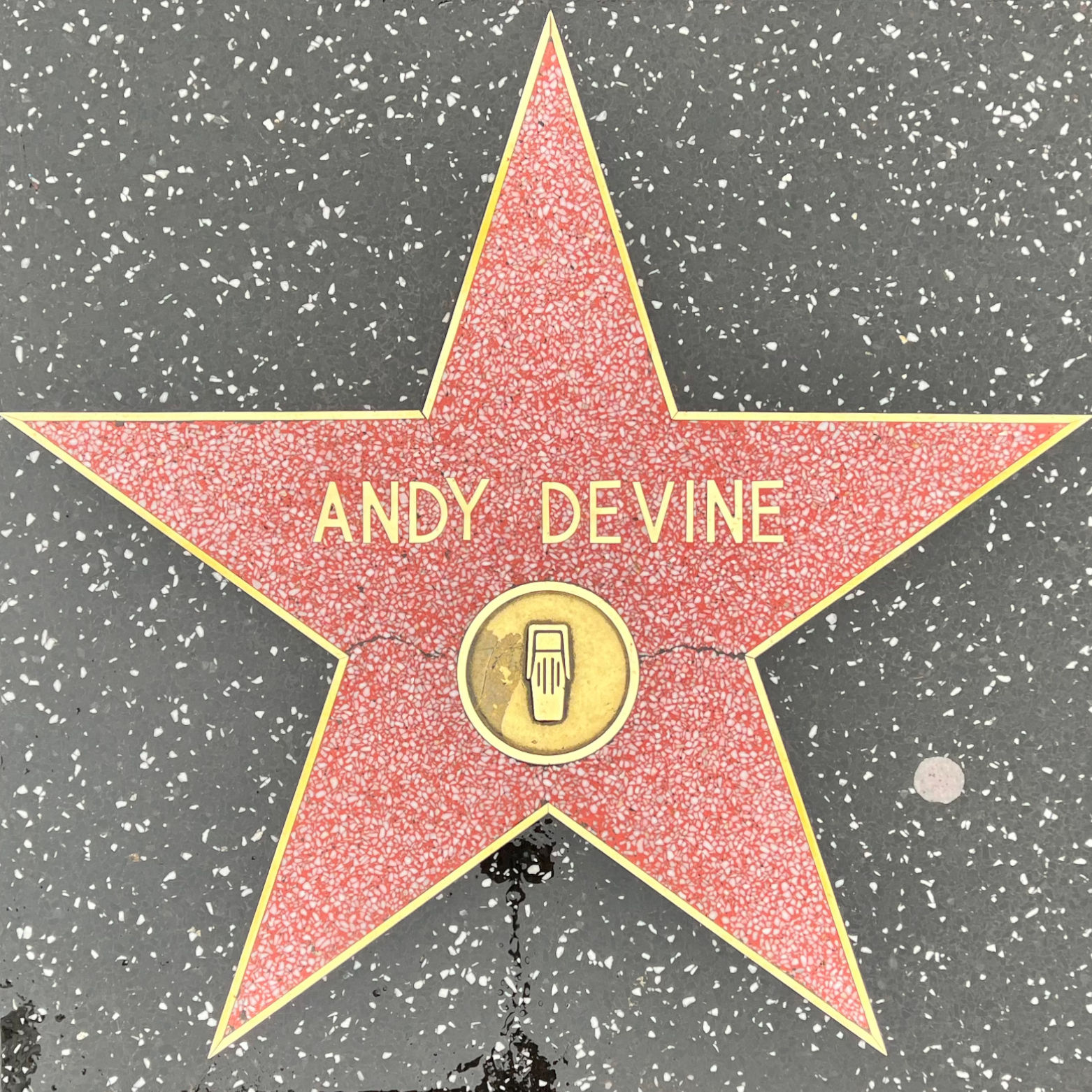 Andy Devine's Radio Star
