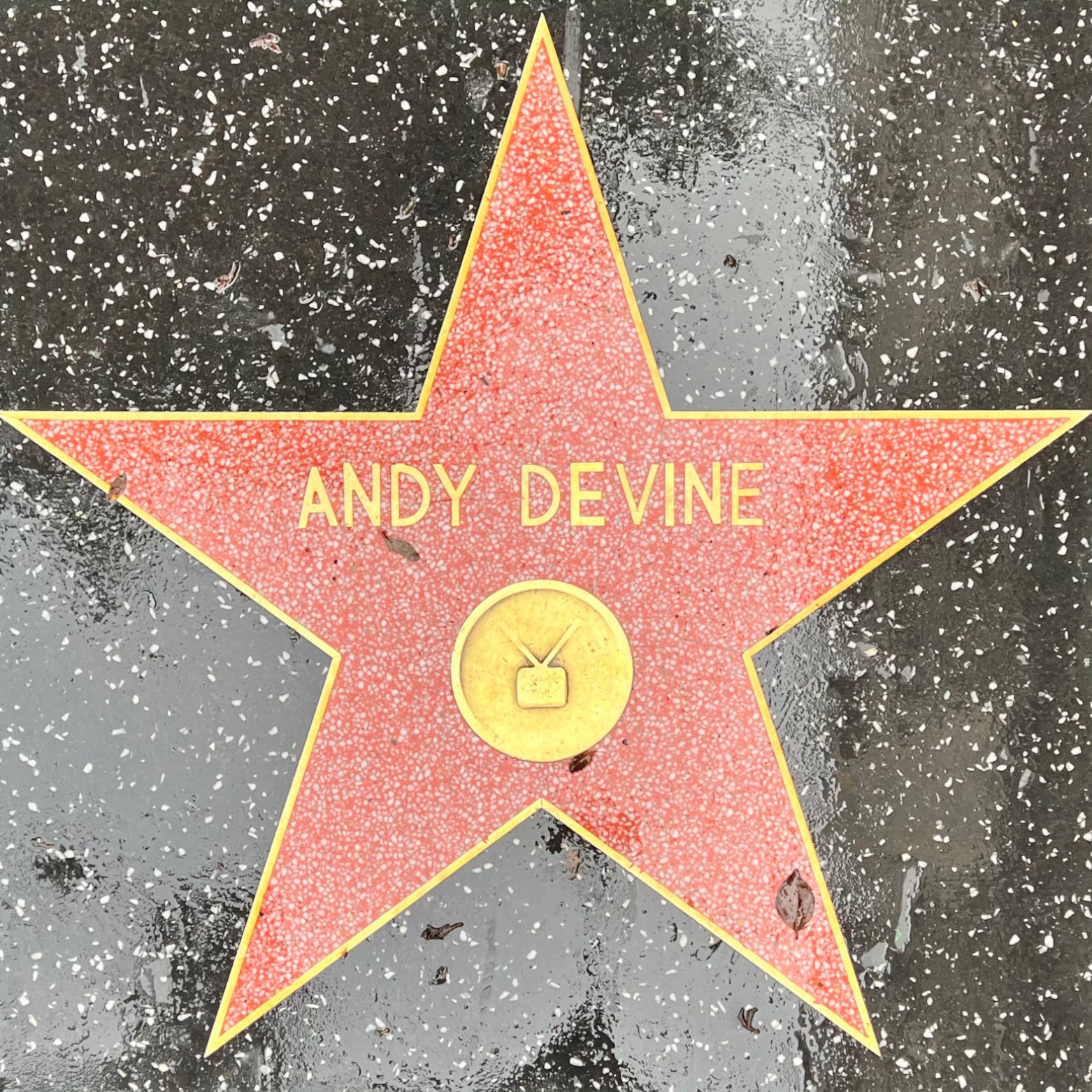 Andy Devine's Television Star