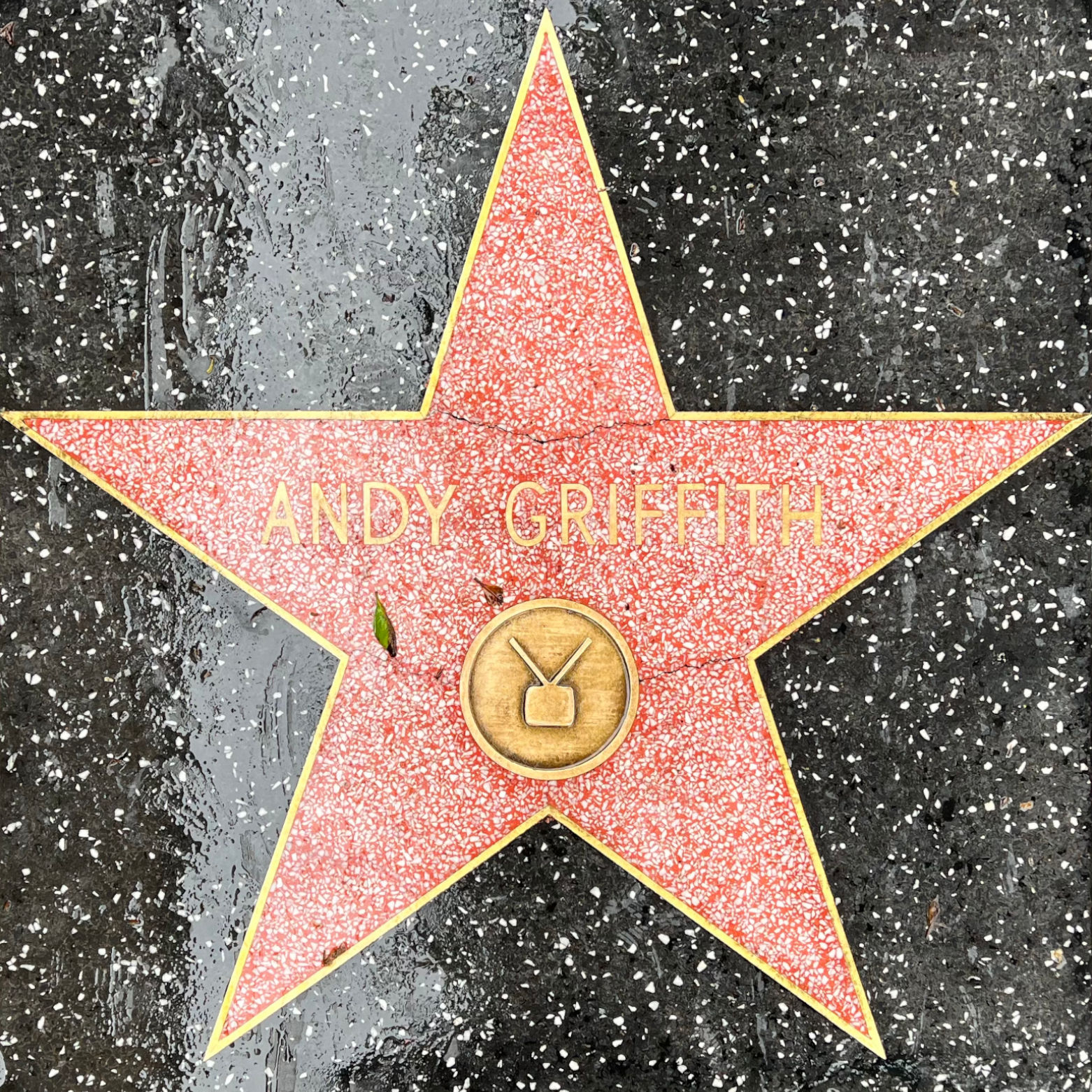 Andy Griffith's Television Star