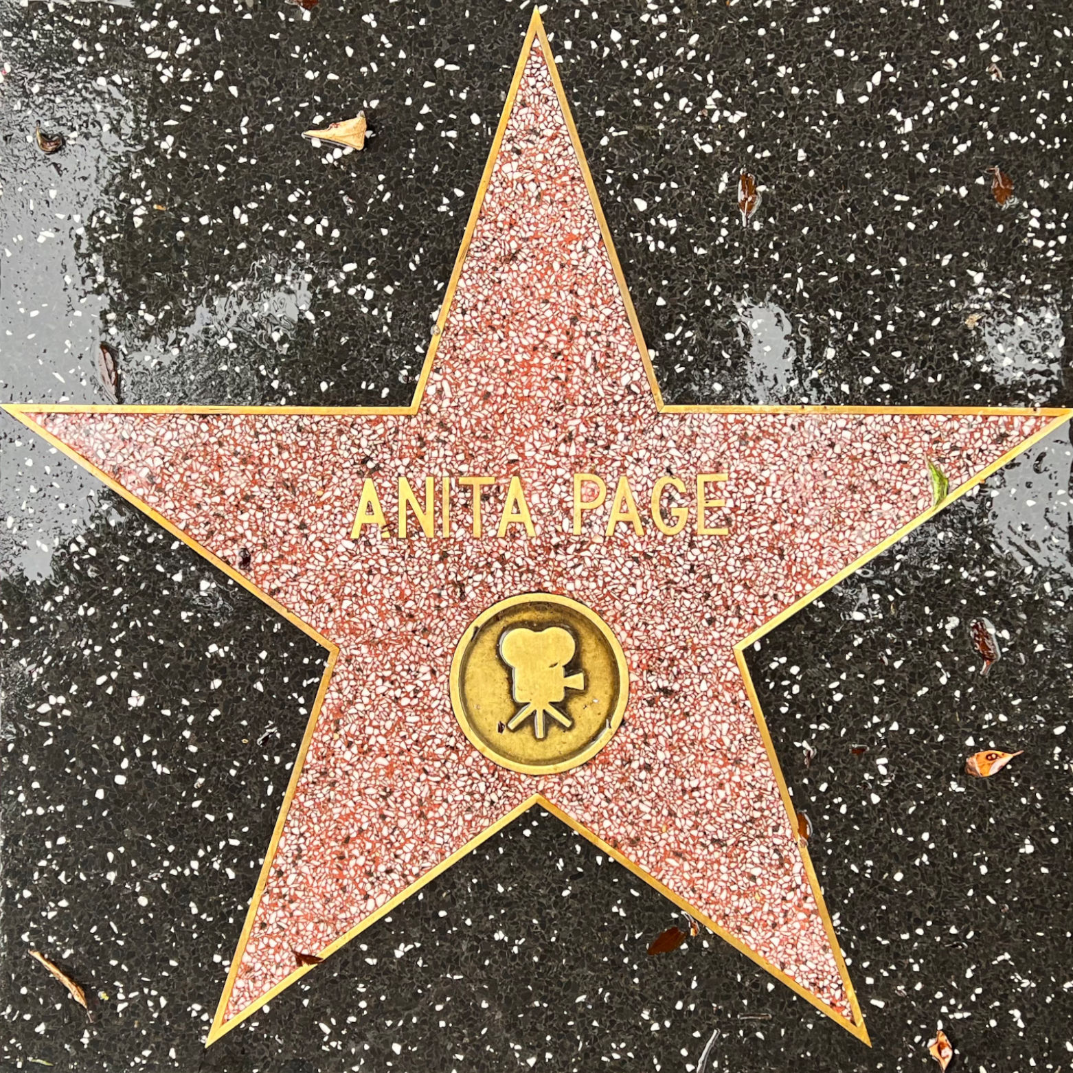 Anita Page's Motion Pictures Star