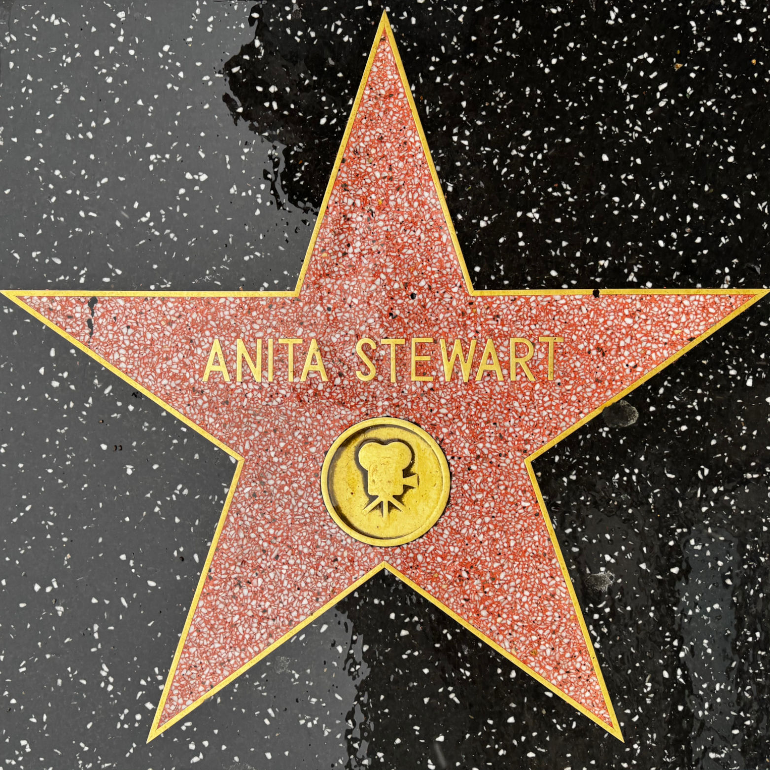 Anita Stewart's Motion Pictures Star Anita Stewart's Motion Pictures Star