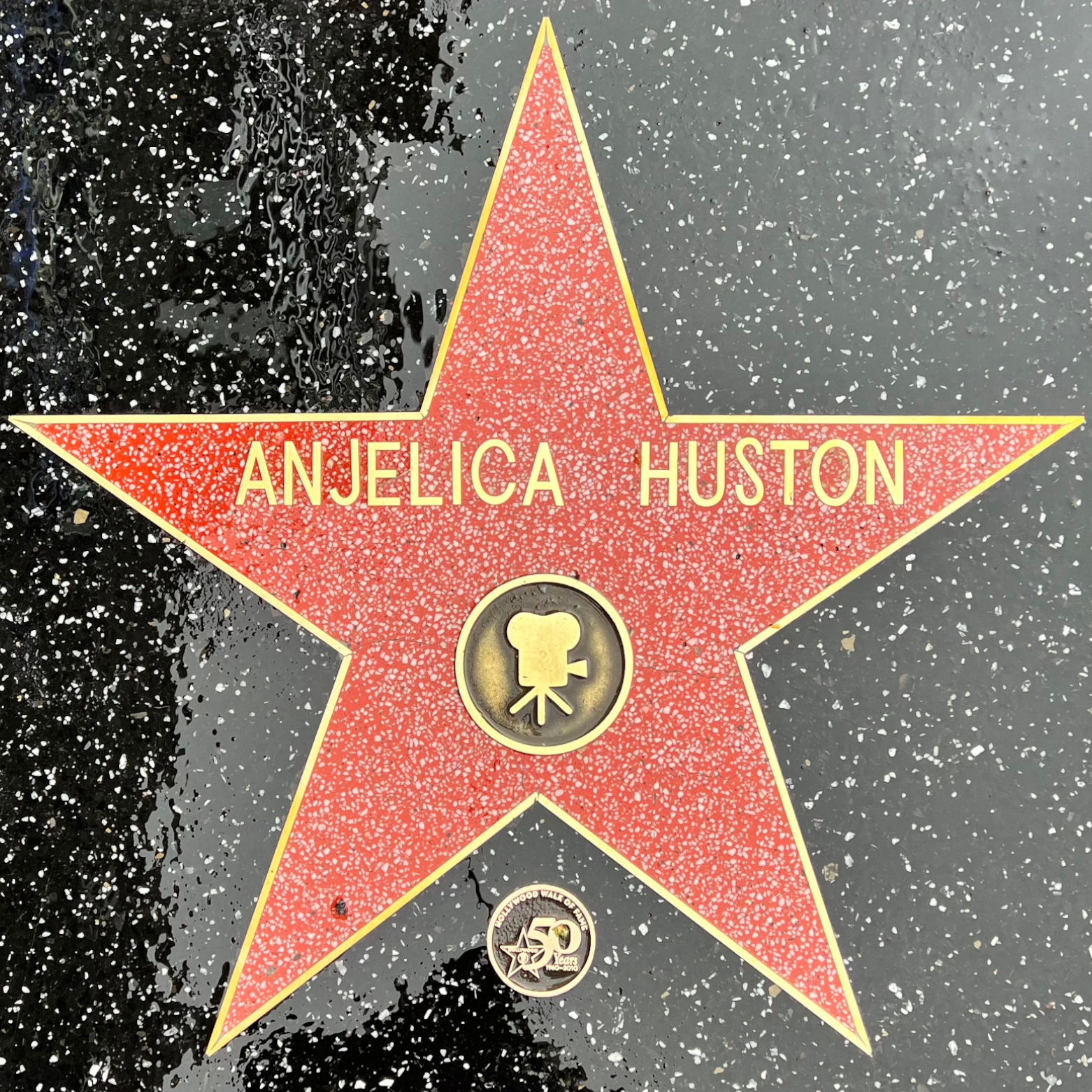 Anjelica Huston's Motion Pictures Star