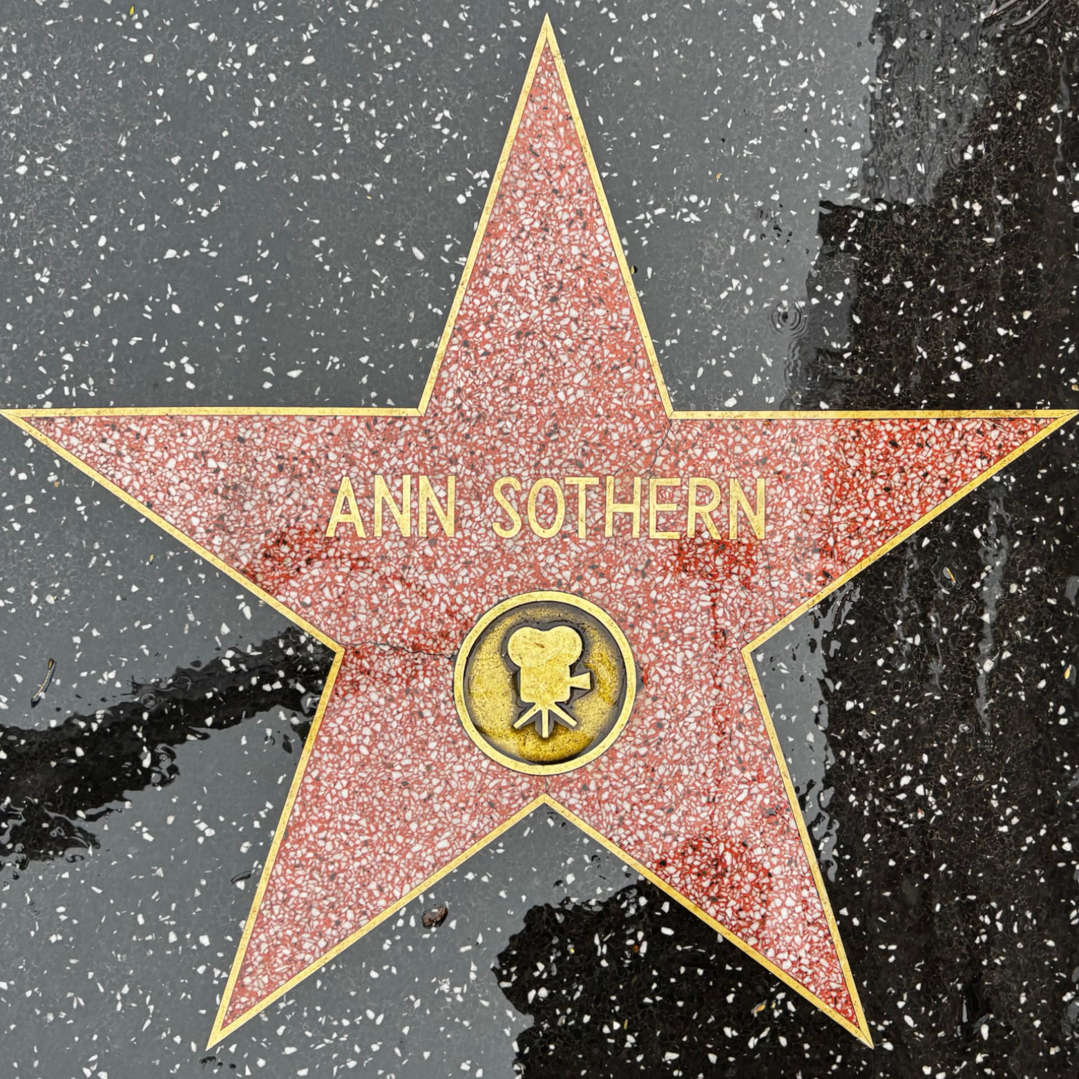 Ann Sothern's Motion Pictures Star Ann Sothern's Motion Pictures Star