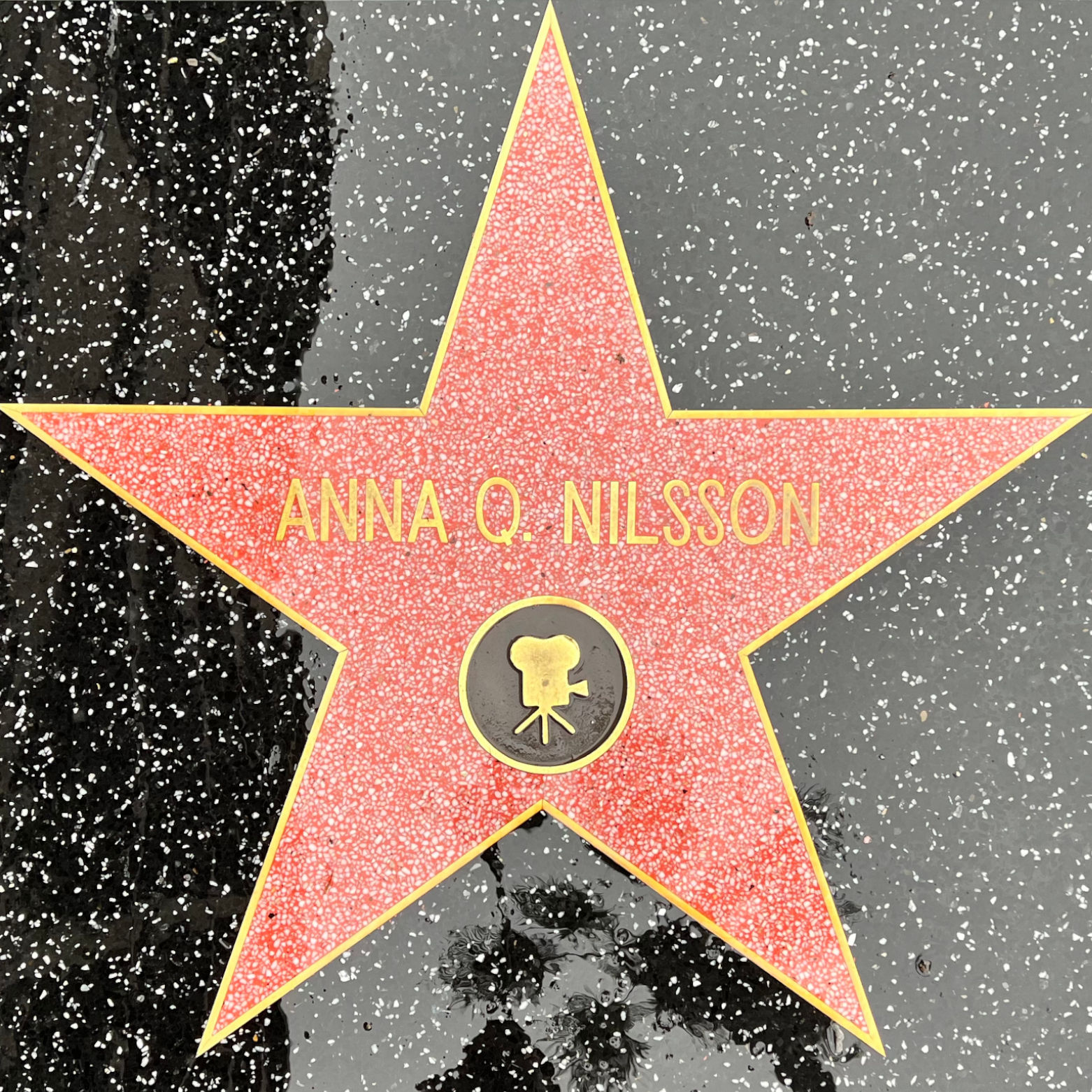 Anna Q. Nilsson's Motion Pictures Star