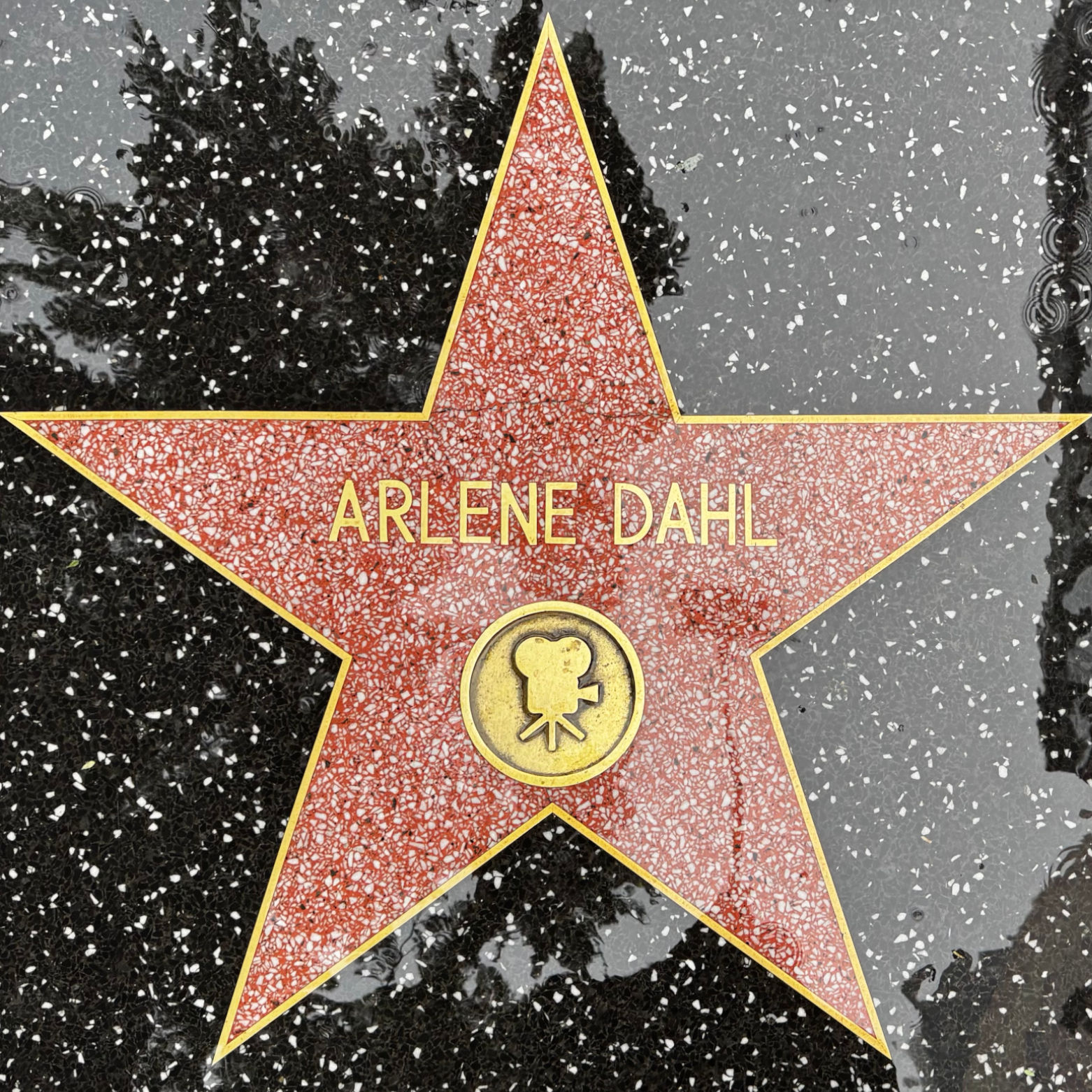 Arlene Dahl's Motion Pictures Star Arlene Dahl's Motion Pictures Star