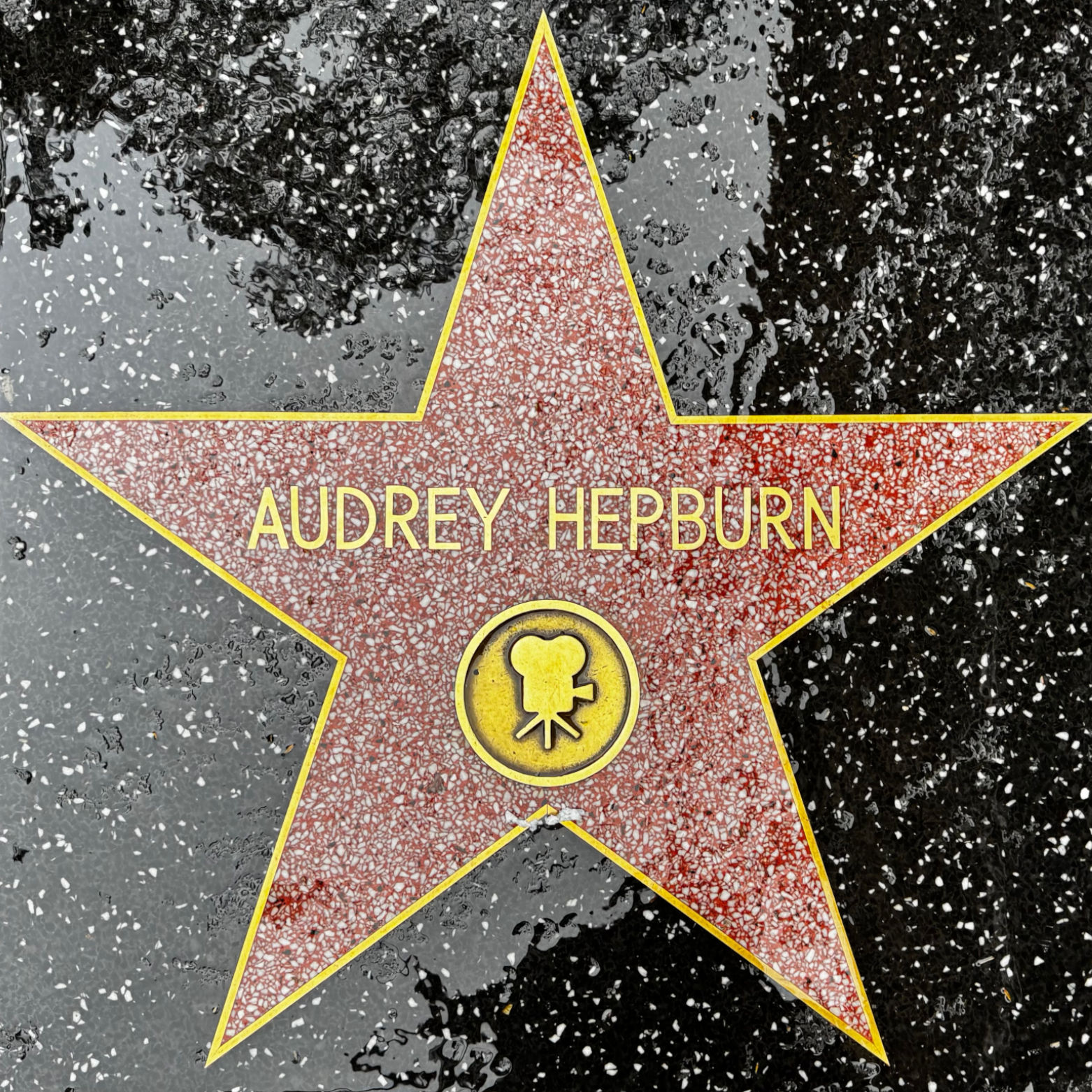 Audrey Hepburn's Motion Pictures Star Audrey Hepburn's Motion Pictures Star