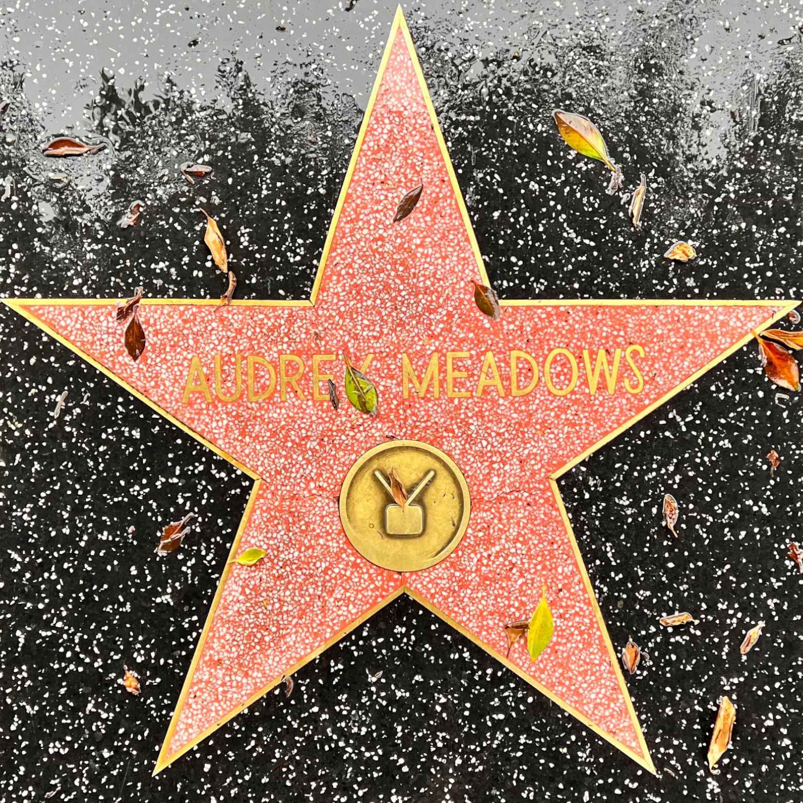 Audrey Meadows's Television Star