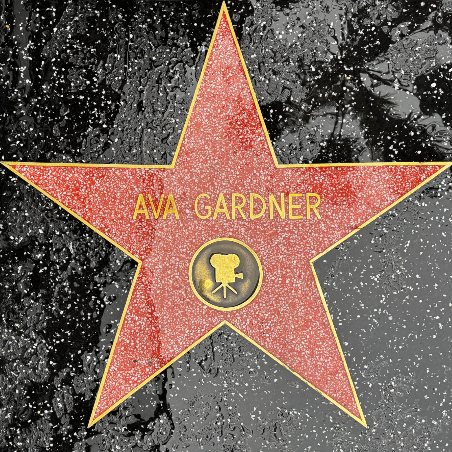 Ava Gardner's Motion Pictures Star Ava Gardner's Motion Pictures Star