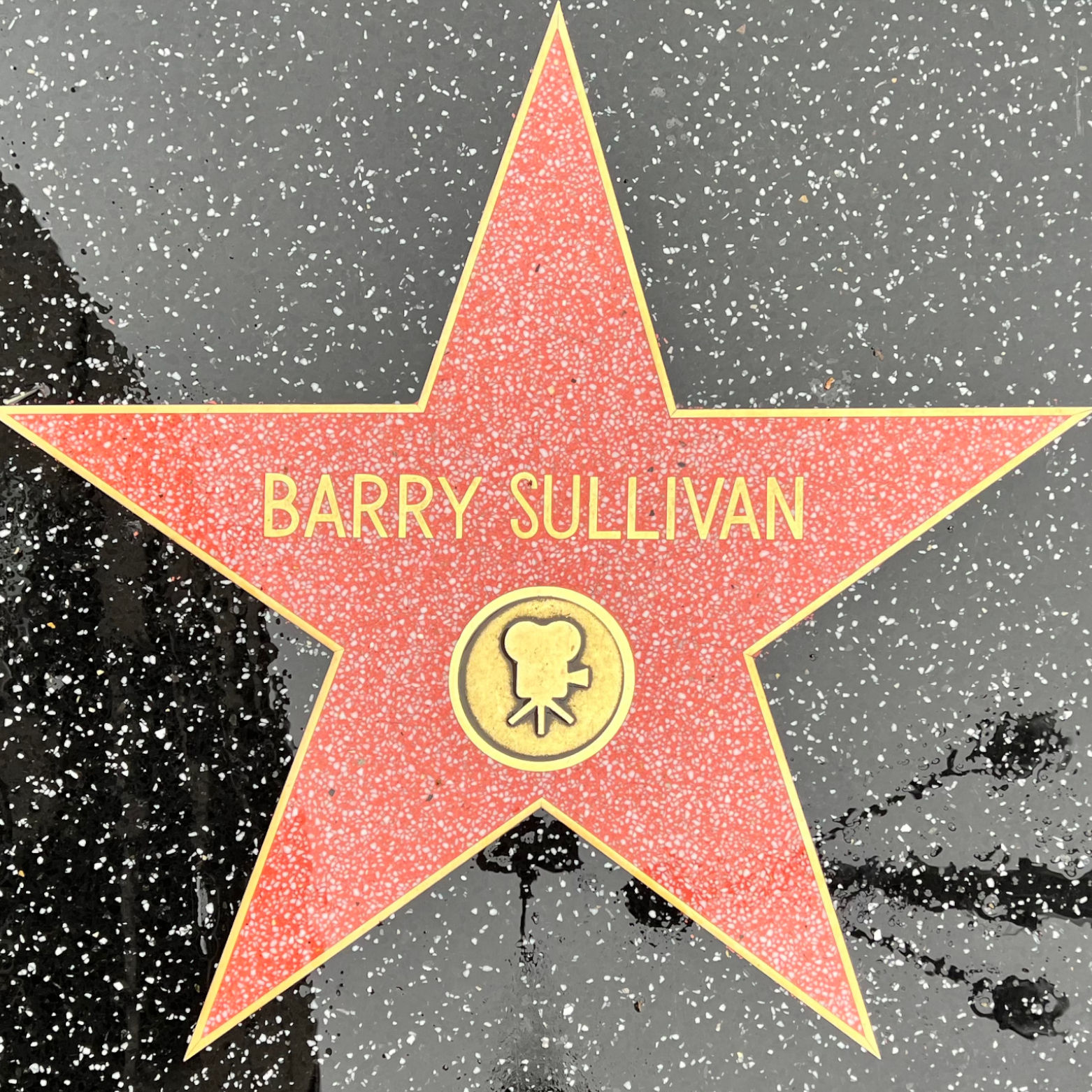 Barry Sullivan's Motion Pictures Star