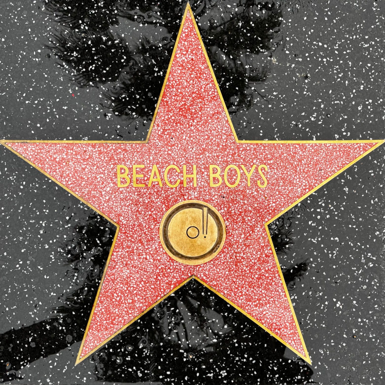 Beach Boys's Recording Star Beach Boys's Recording Star
