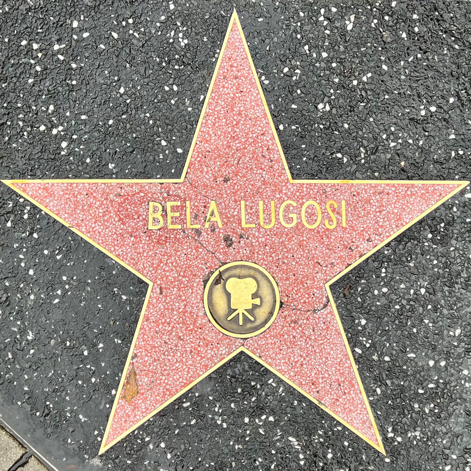 Bela Lugosi's Motion Pictures Star