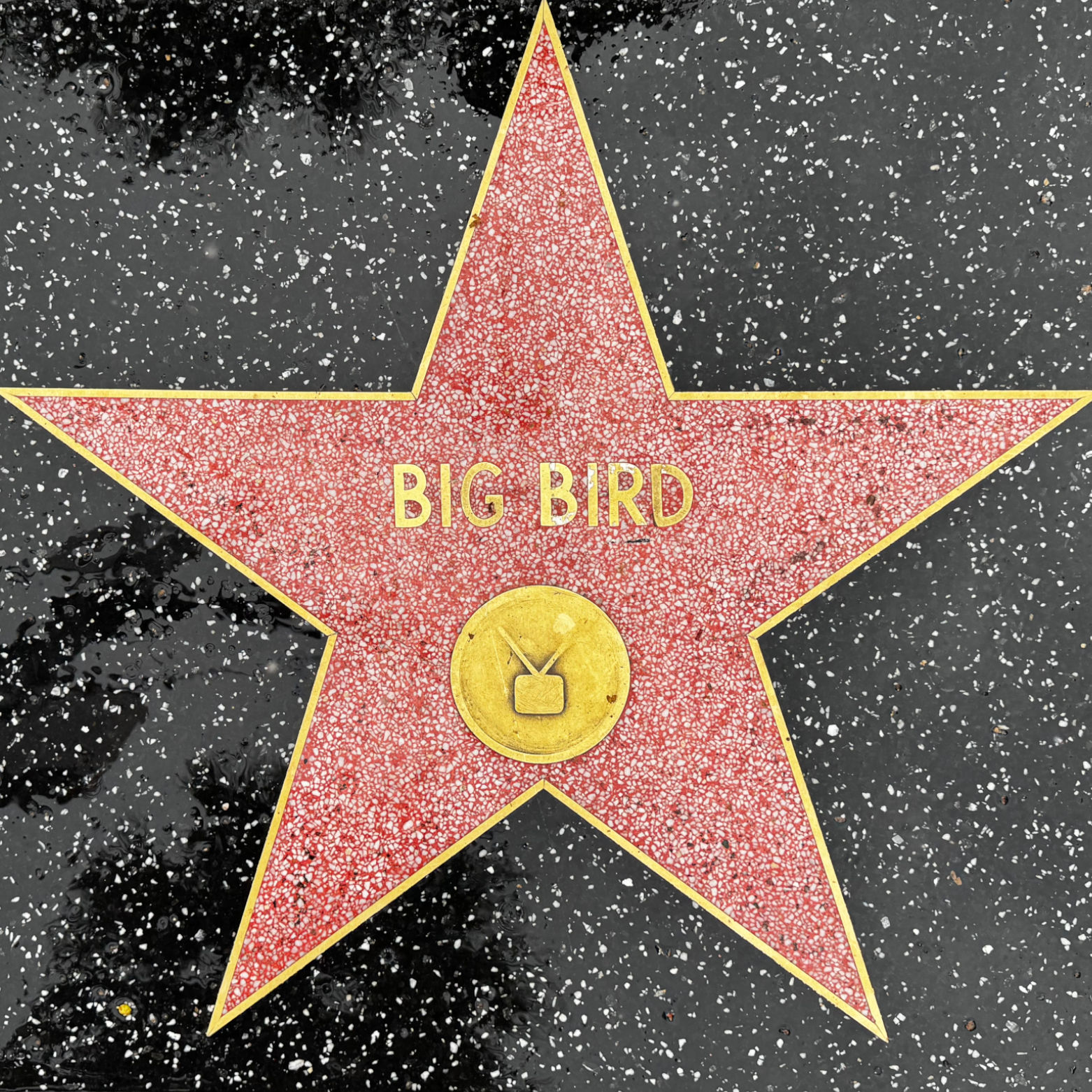 Big Bird's Television Star Big Bird's Television Star