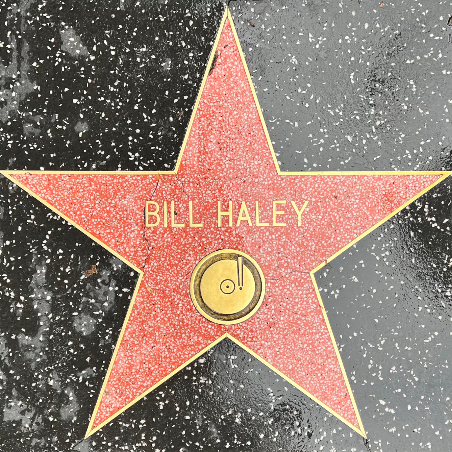 Bill Haley's Recording Star