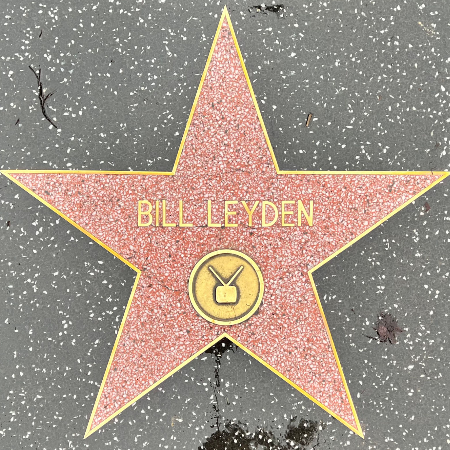 Bill Leyden's Television Star