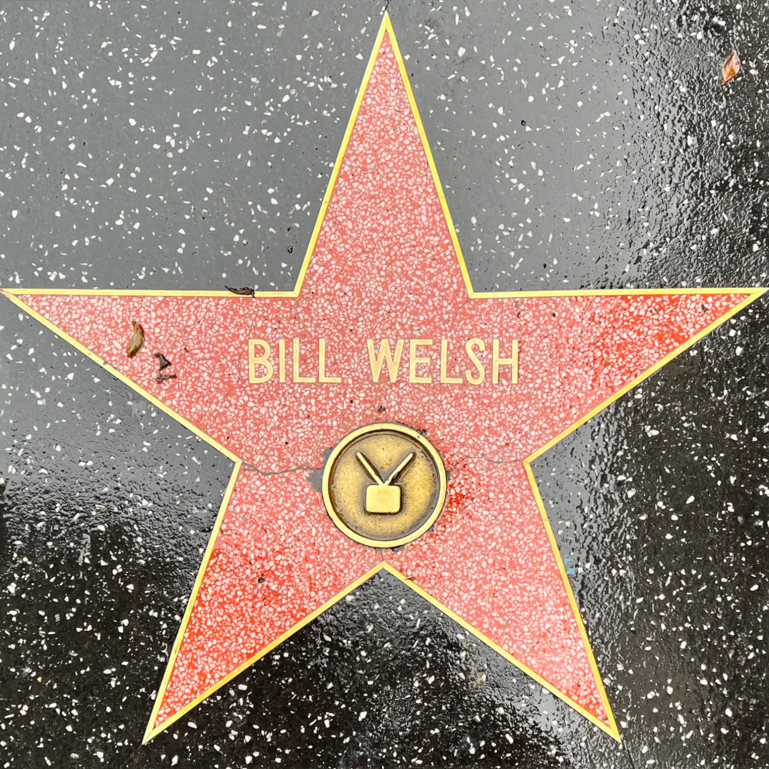 Bill Welsh's Television Star
