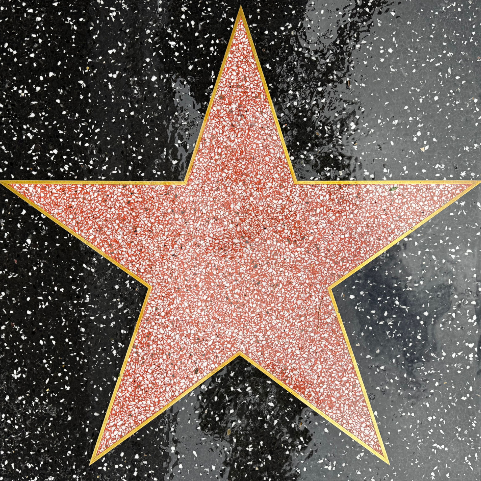 Billie Jean King's Sports Star