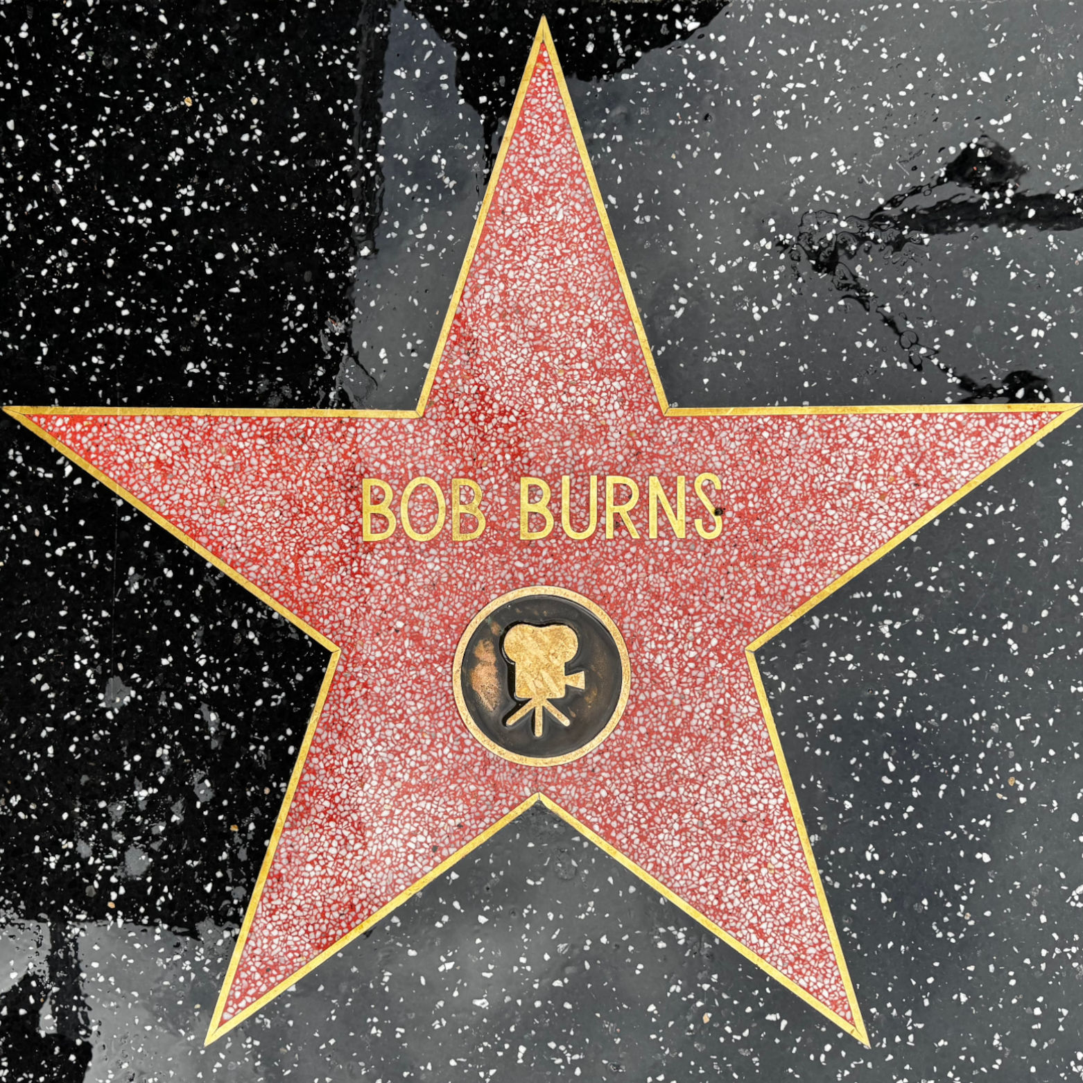Bob Burns's Motion Pictures Star Bob Burns's Motion Pictures Star