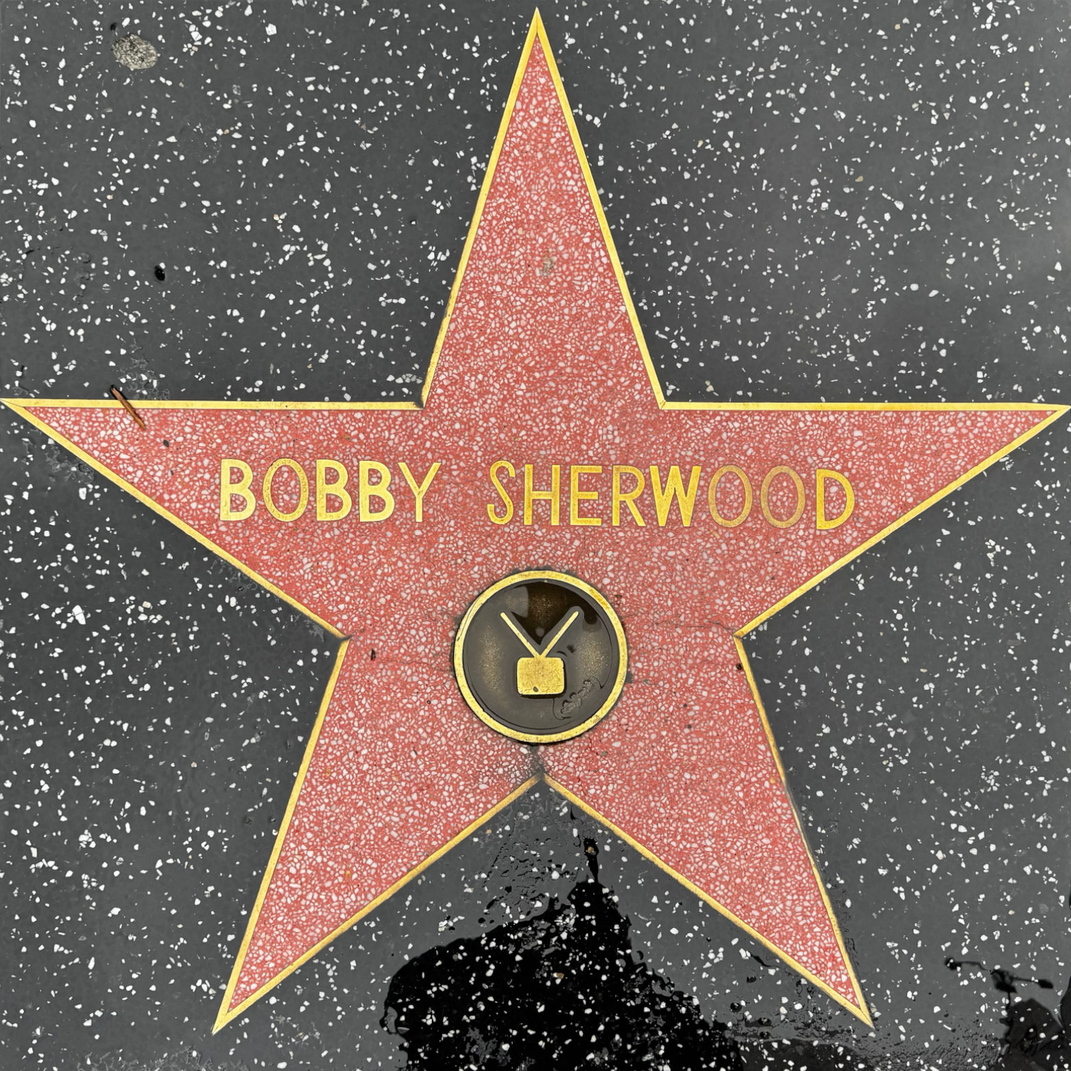 Bobby Sherwood's Television Star Bobby Sherwood's Television Star