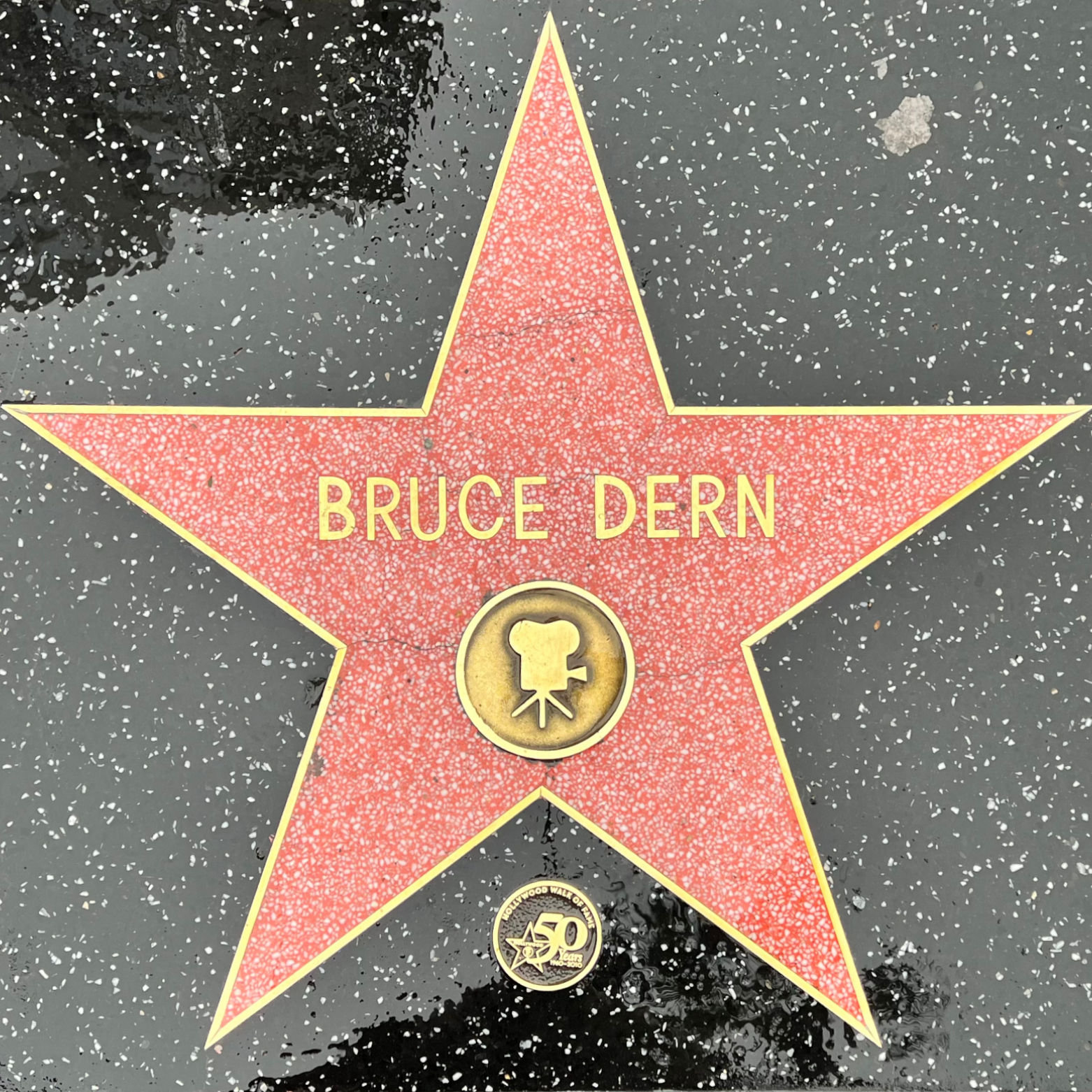 Bruce Dern's Motion Pictures Star
