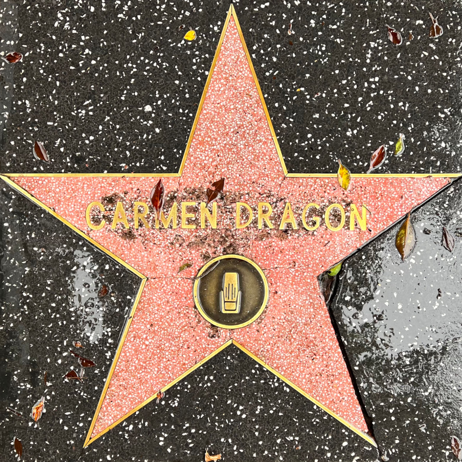 Carmen Dragon's Radio Star