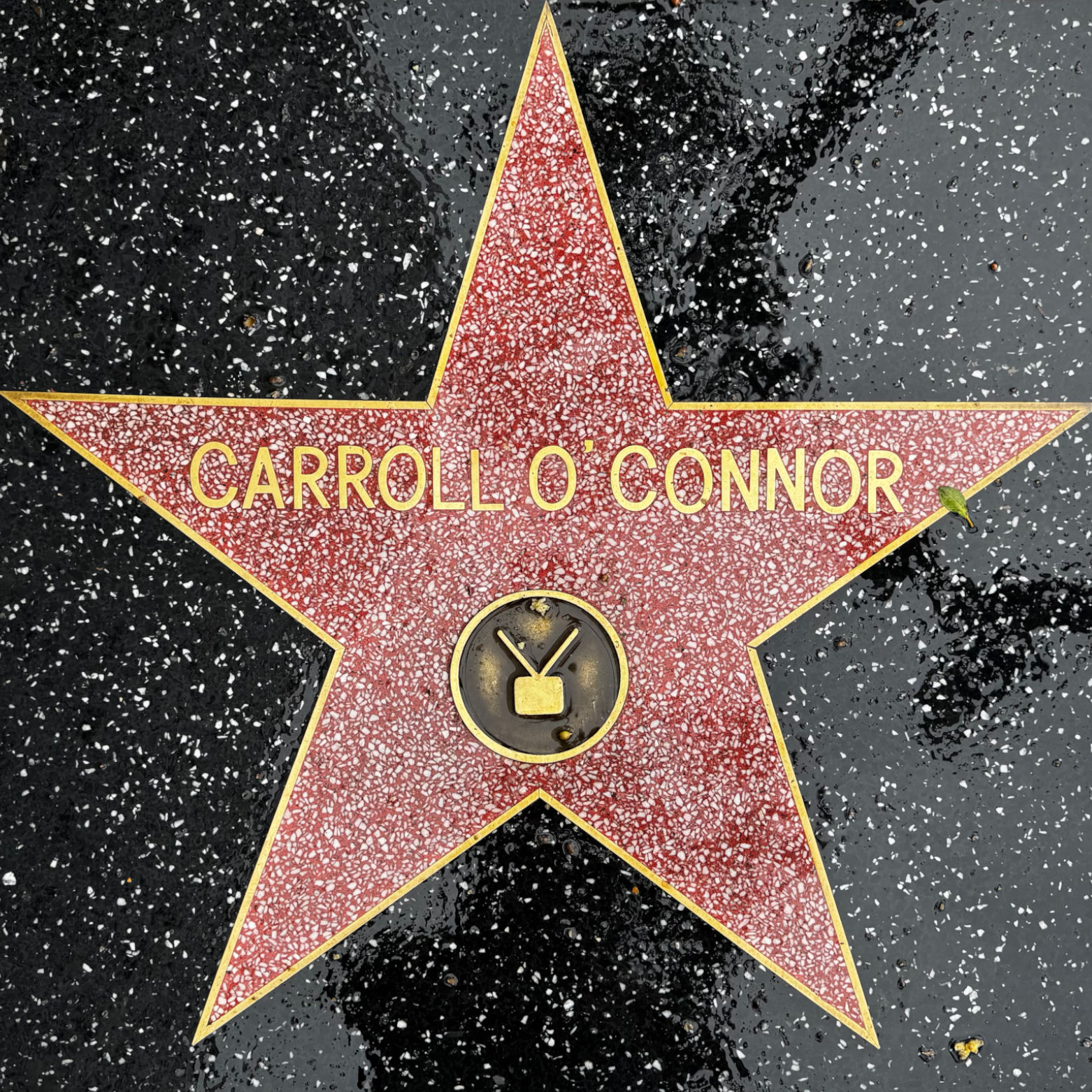 Carroll O'Connor's Television Star Carroll O'Connor's Television Star