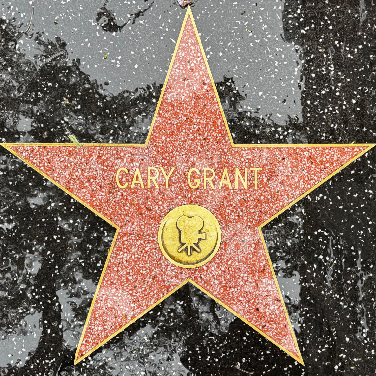 Cary Grant's Motion Pictures Star Cary Grant's Motion Pictures Star