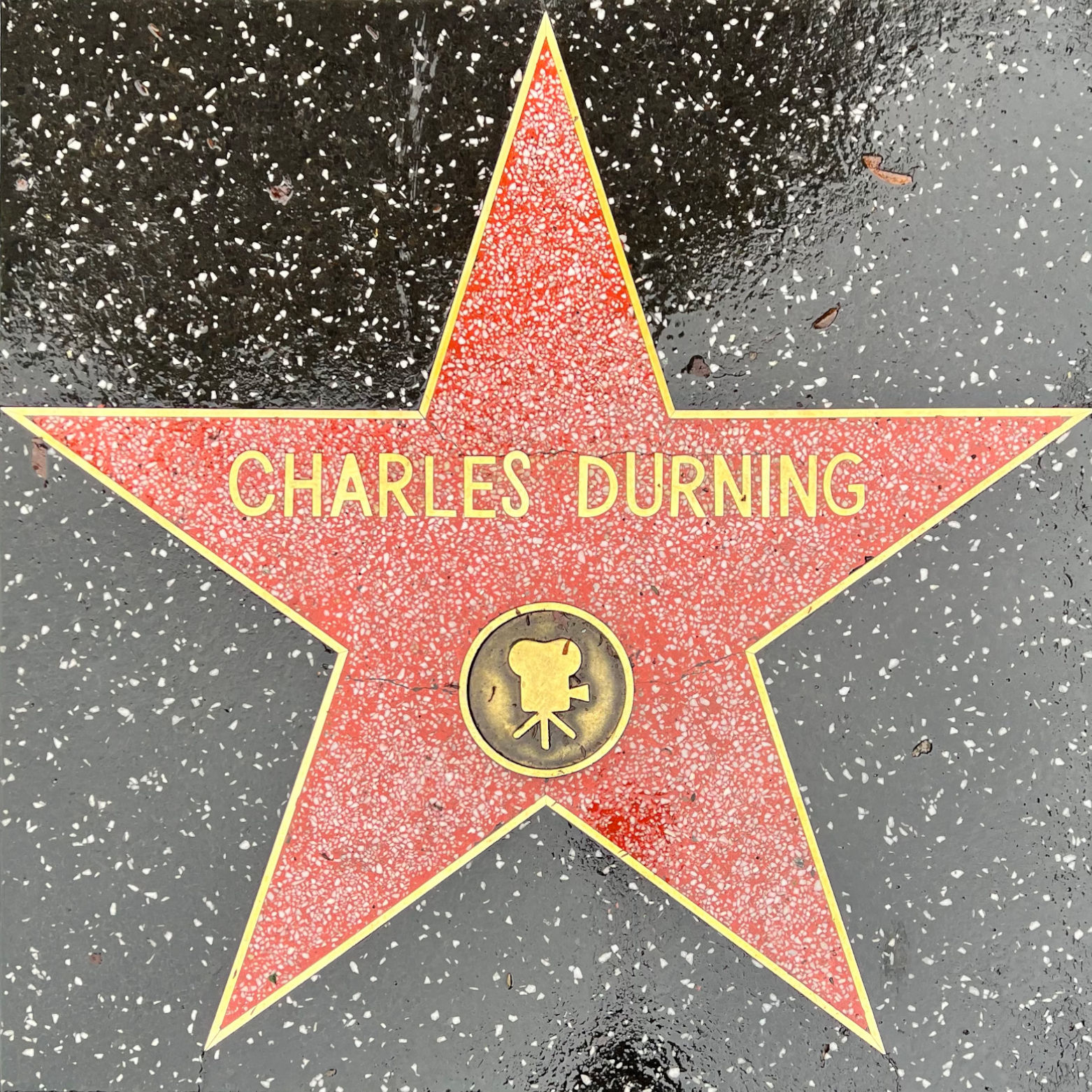 Charles Durning's Motion Pictures Star
