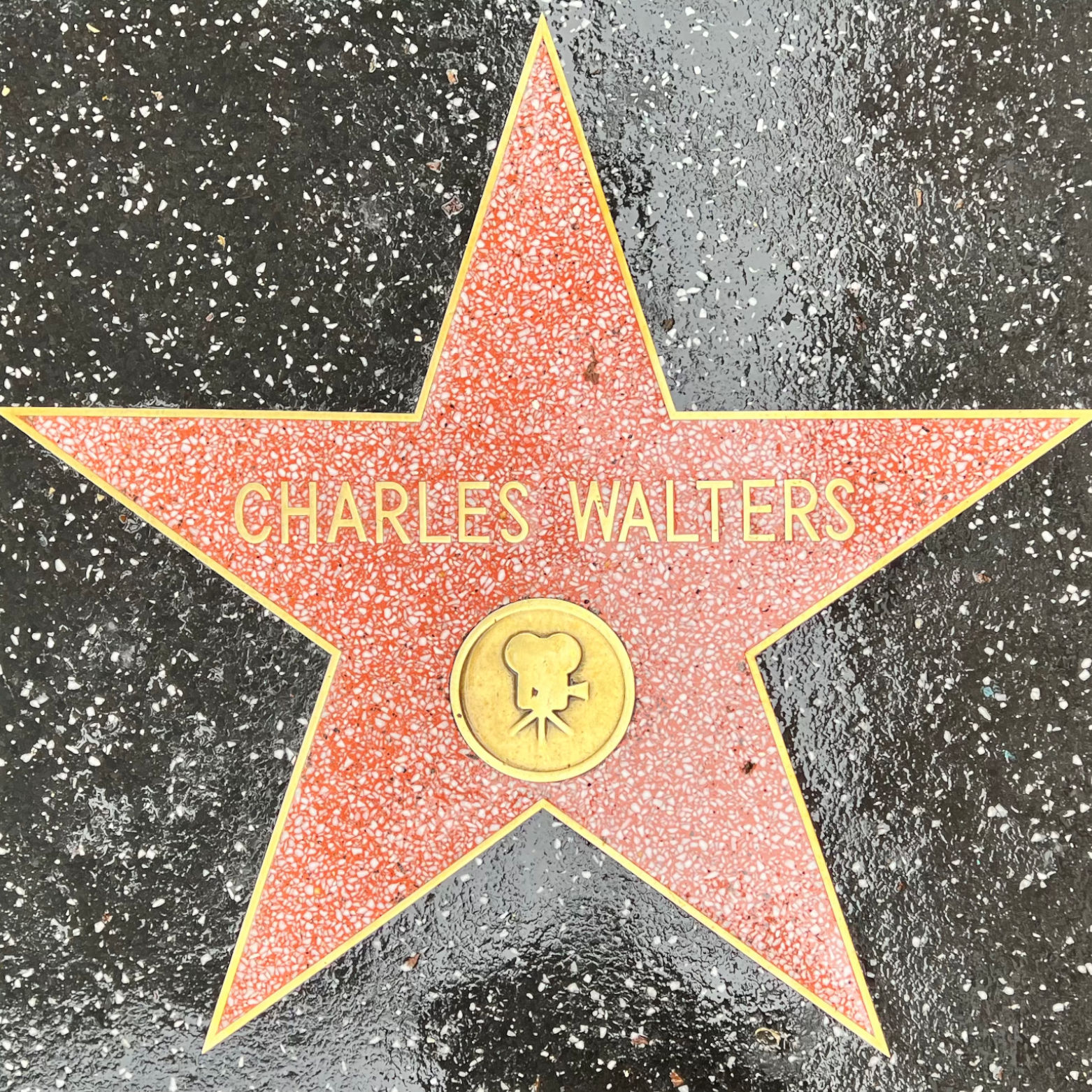 Charles Walters's Motion Pictures Star