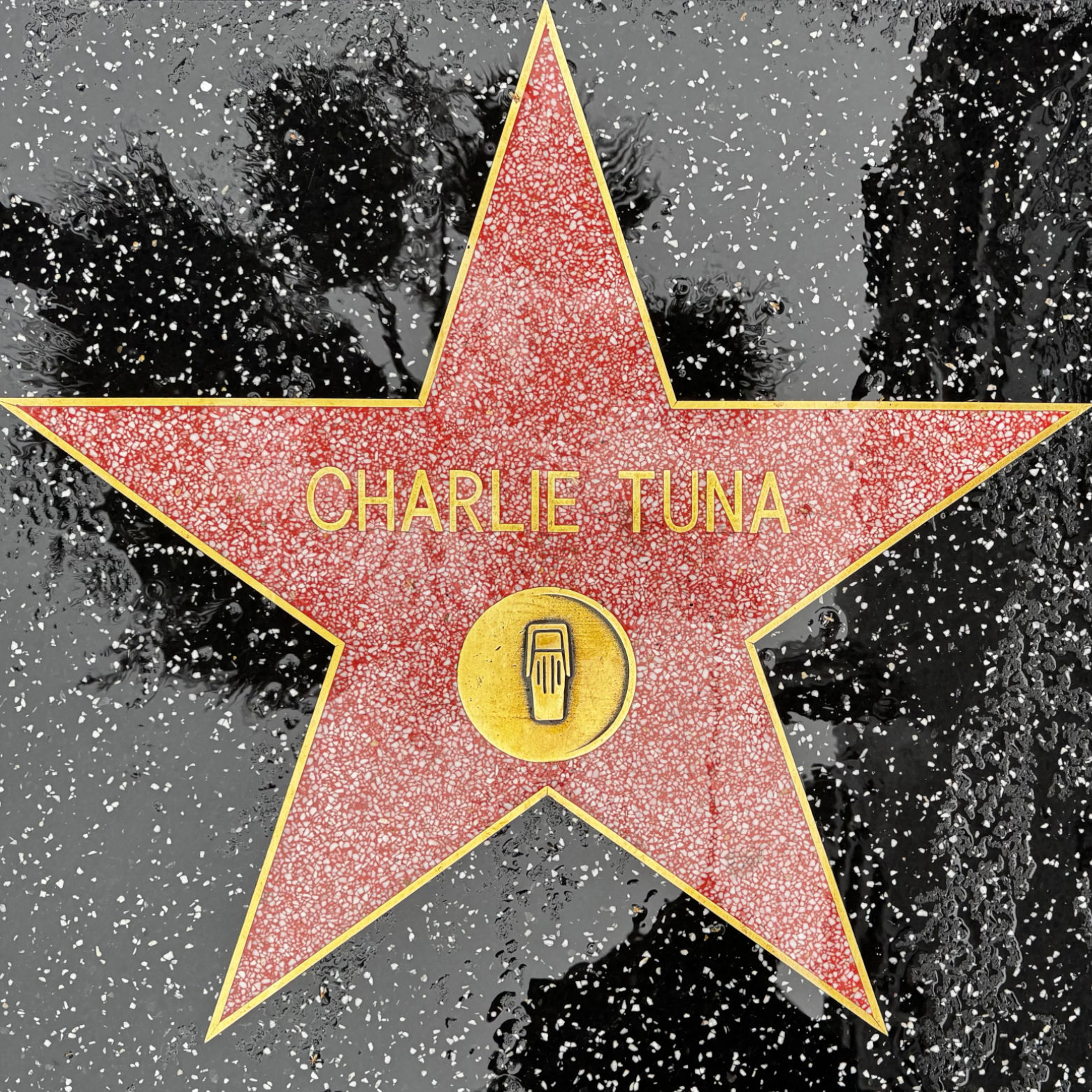 Charlie Tuna's Radio Star