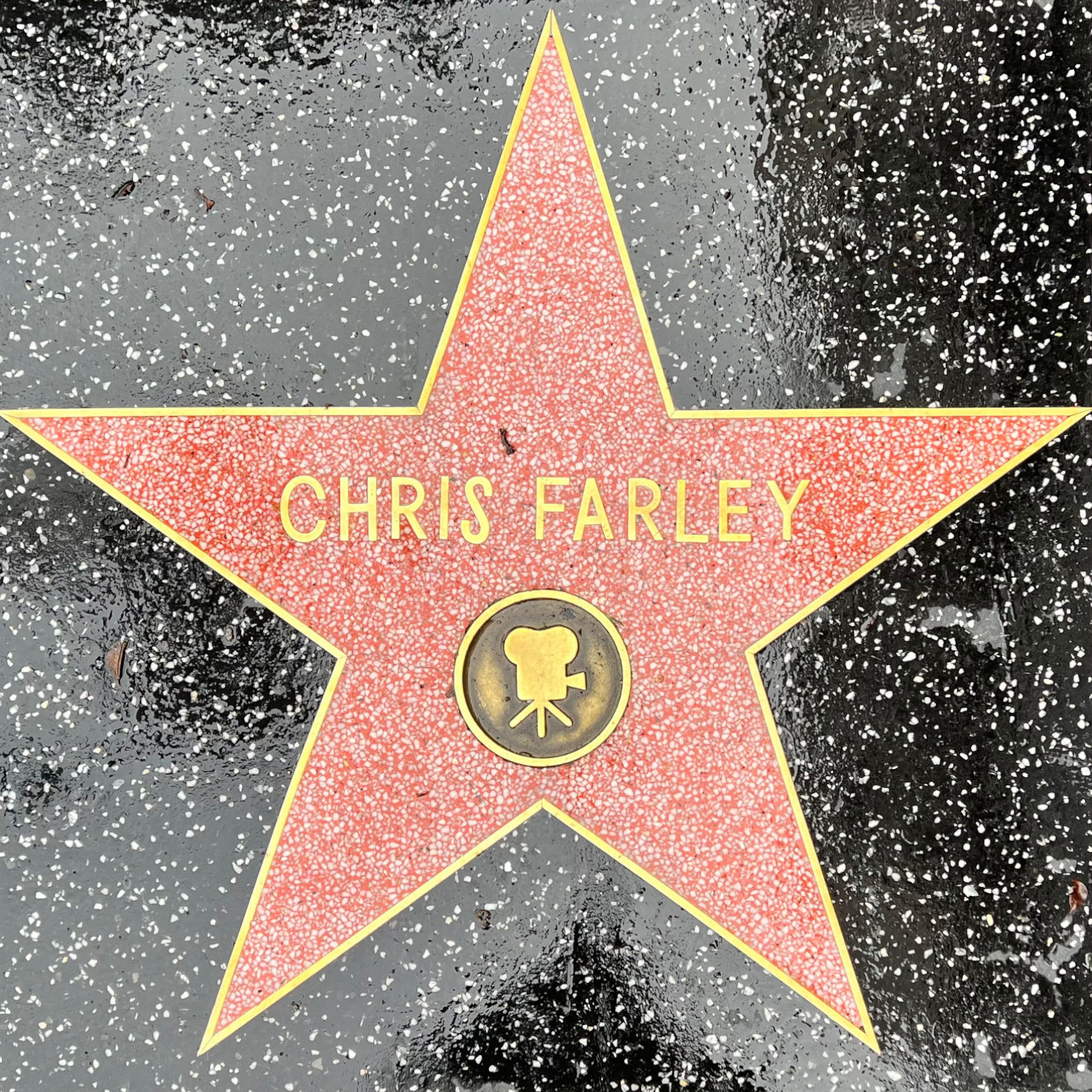 Chris Farley's Motion Pictures Star