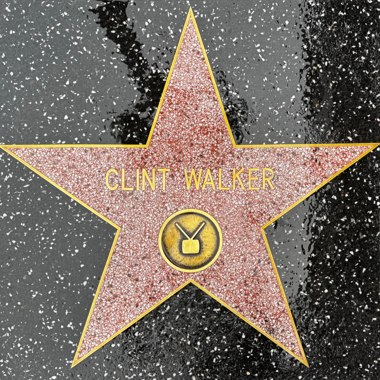Clint Walker's Television Star
