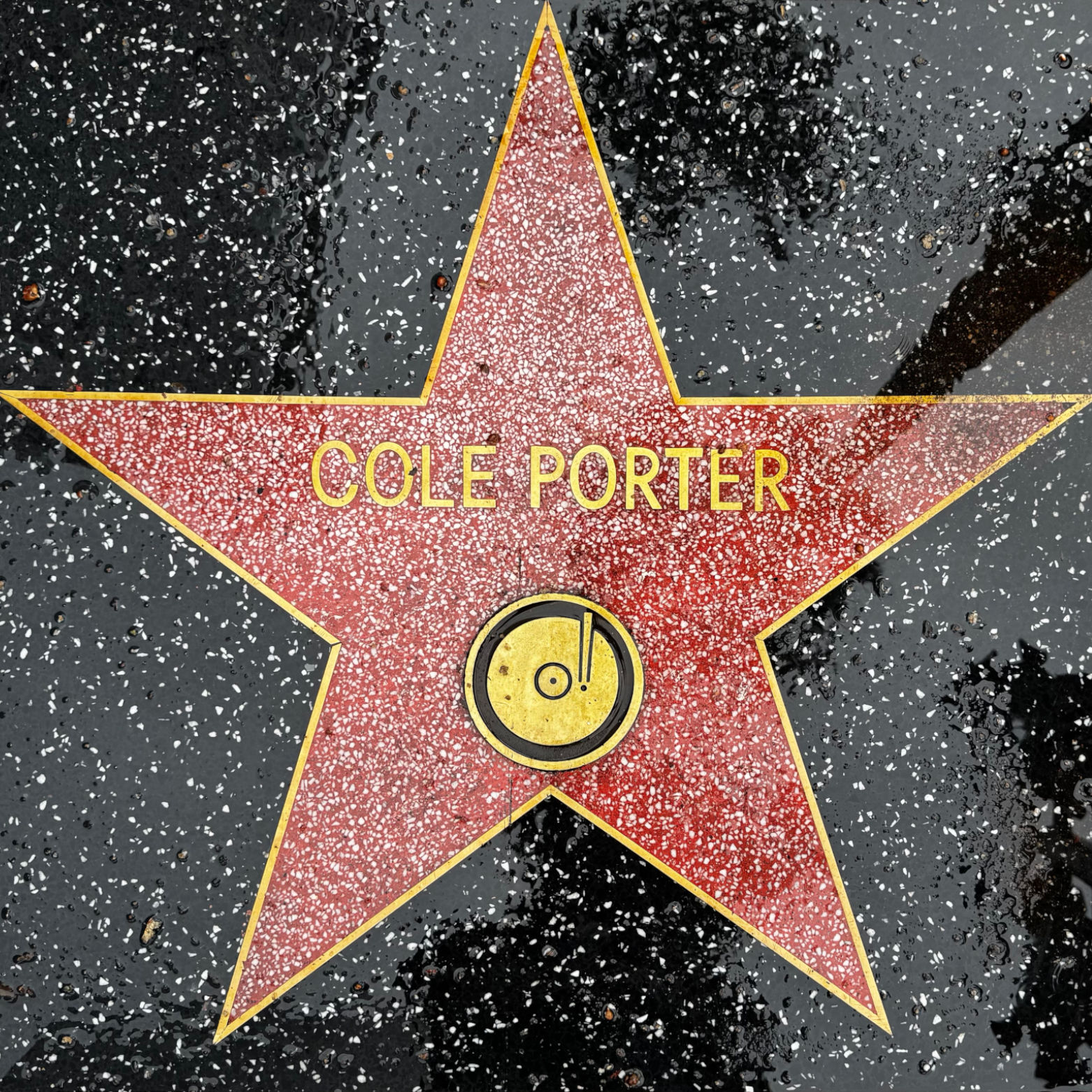 Cole Porter's Recording Star