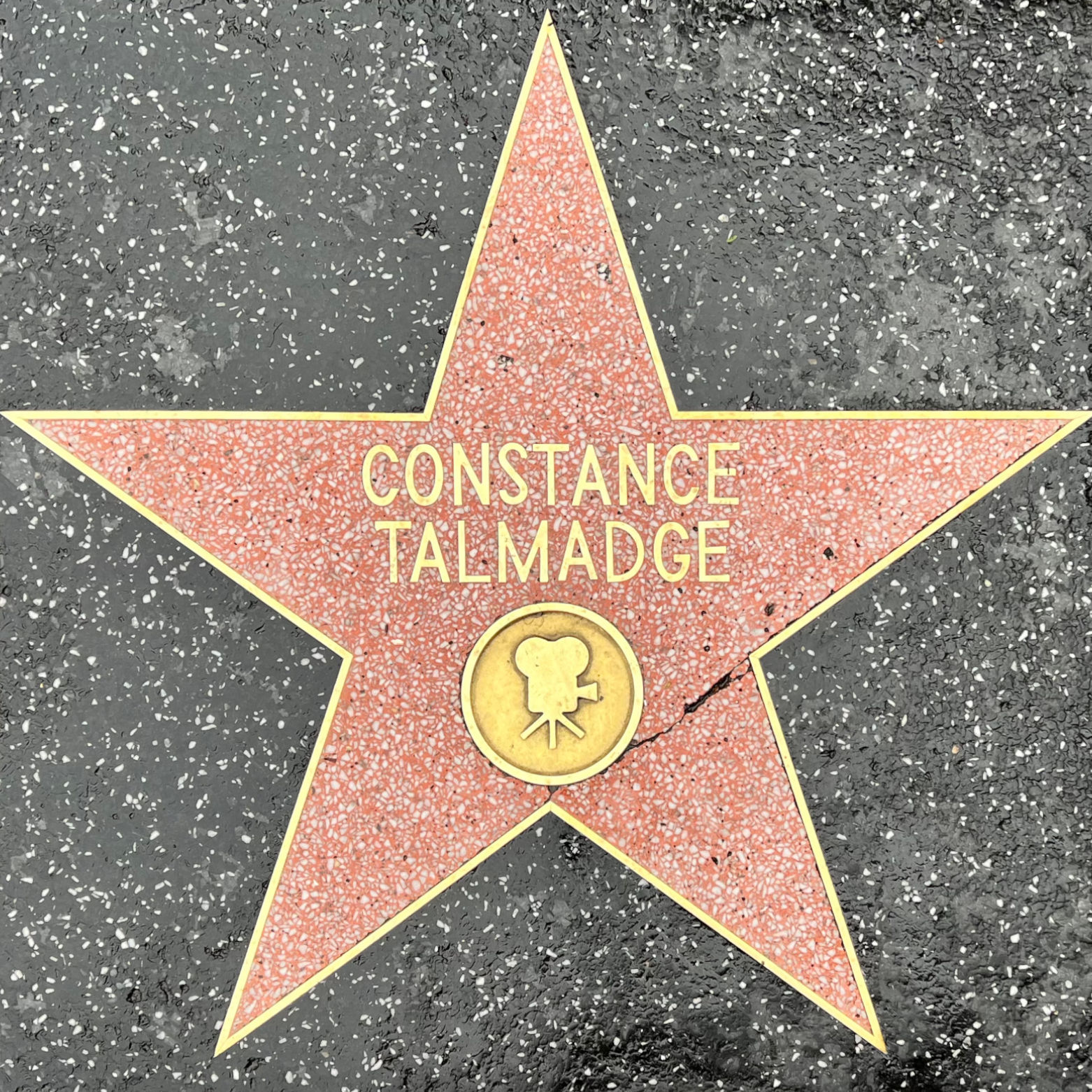 Constance Talmadge's Motion Pictures Star