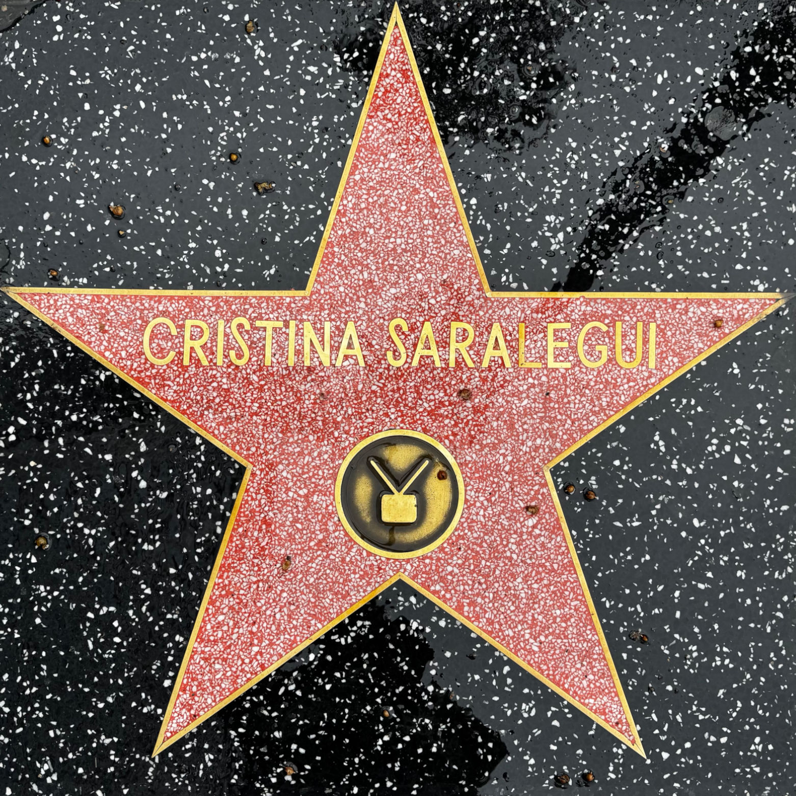 Cristina Saralegui's Television Star Cristina Saralegui's Television Star