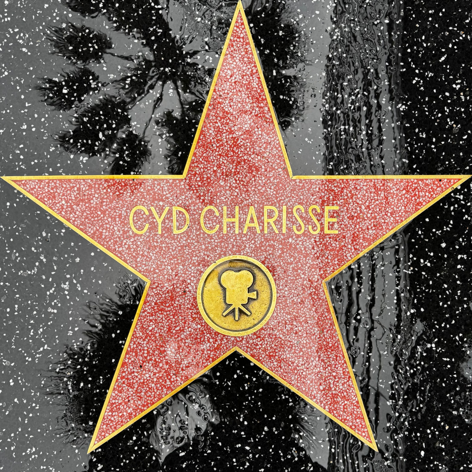 Cyd Charisse's Motion Pictures Star Cyd Charisse's Motion Pictures Star