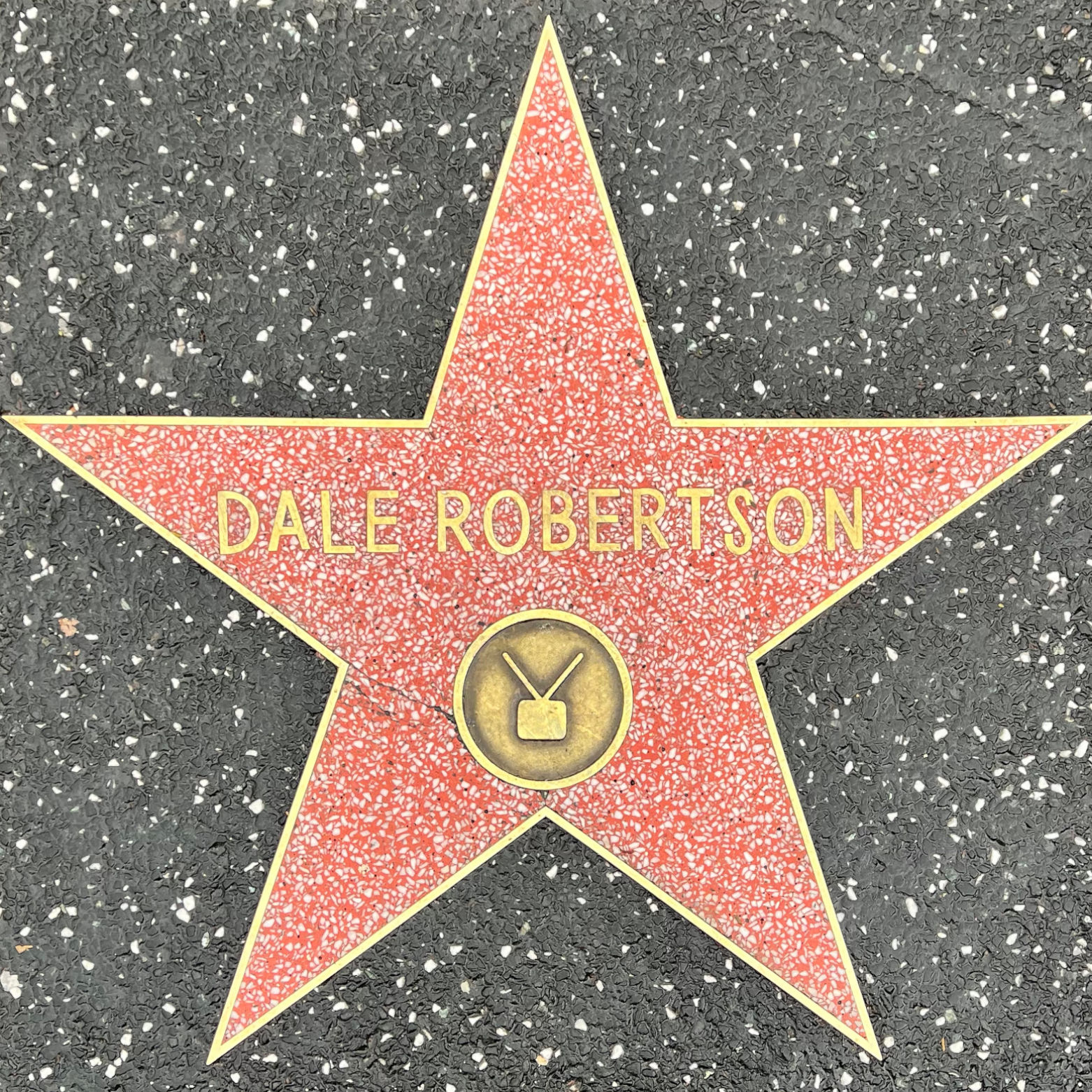Dale Robertson's Television Star