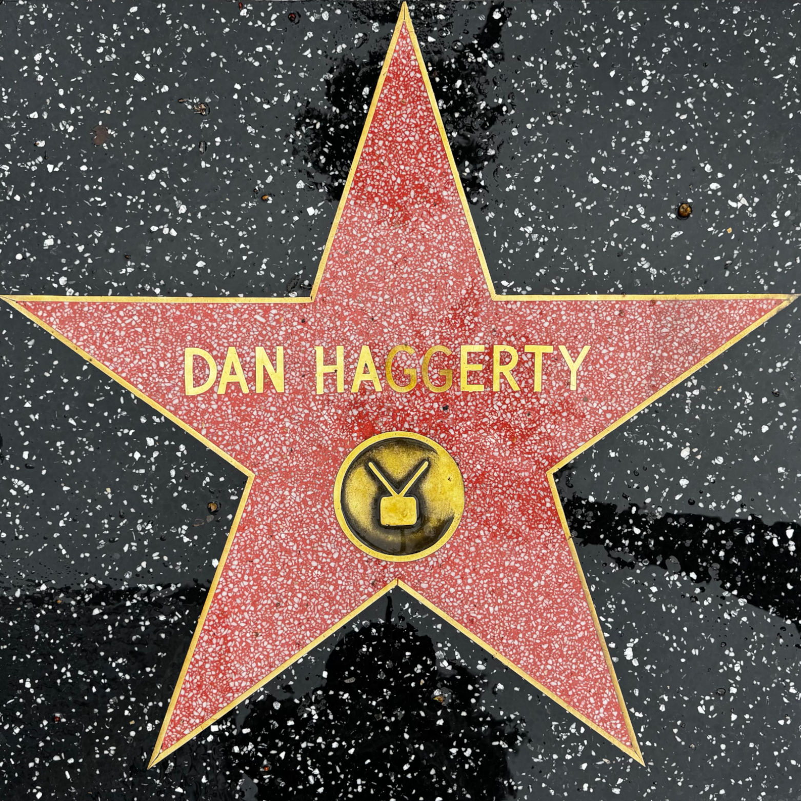 Dan Haggerty's Television Star Dan Haggerty's Television Star