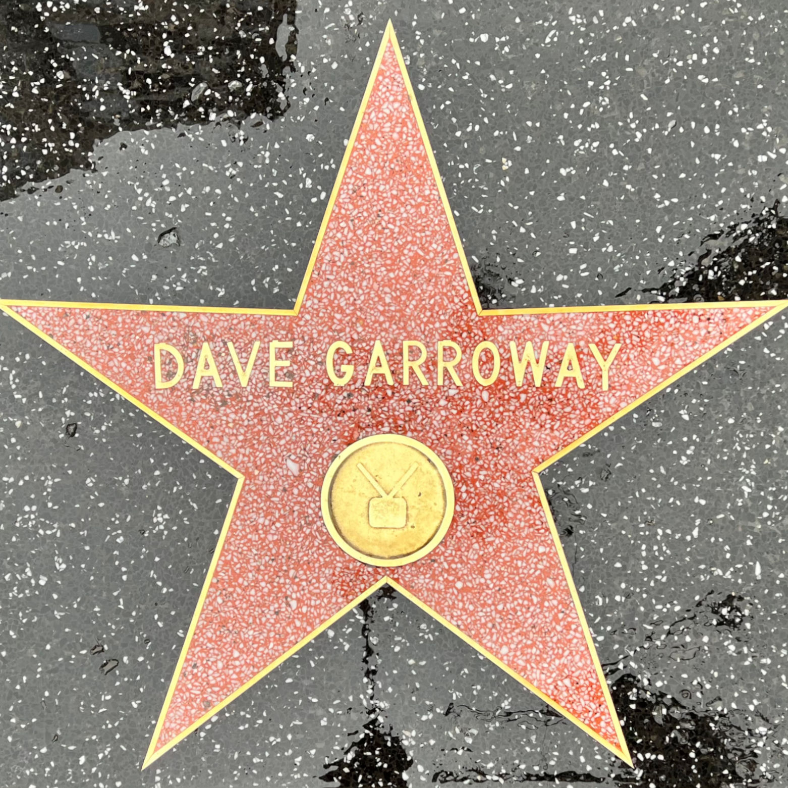 Dave Garroway's Television Star