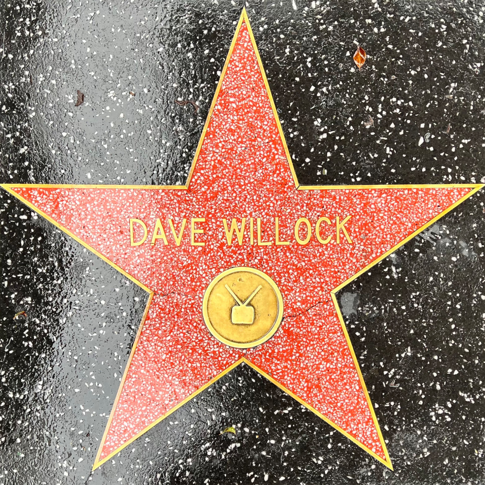 Dave Willock's Television Star