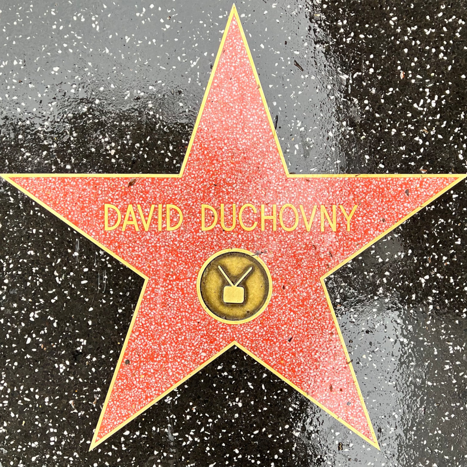 David Duchovny's Television Star